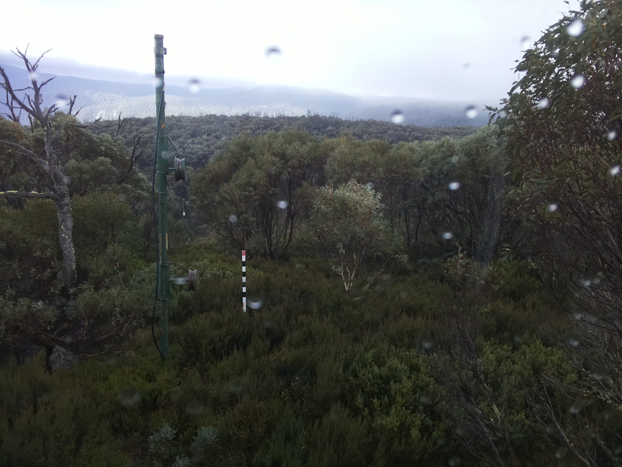 Bogong Web Cam 9:50am Saturday 24th of May 2025