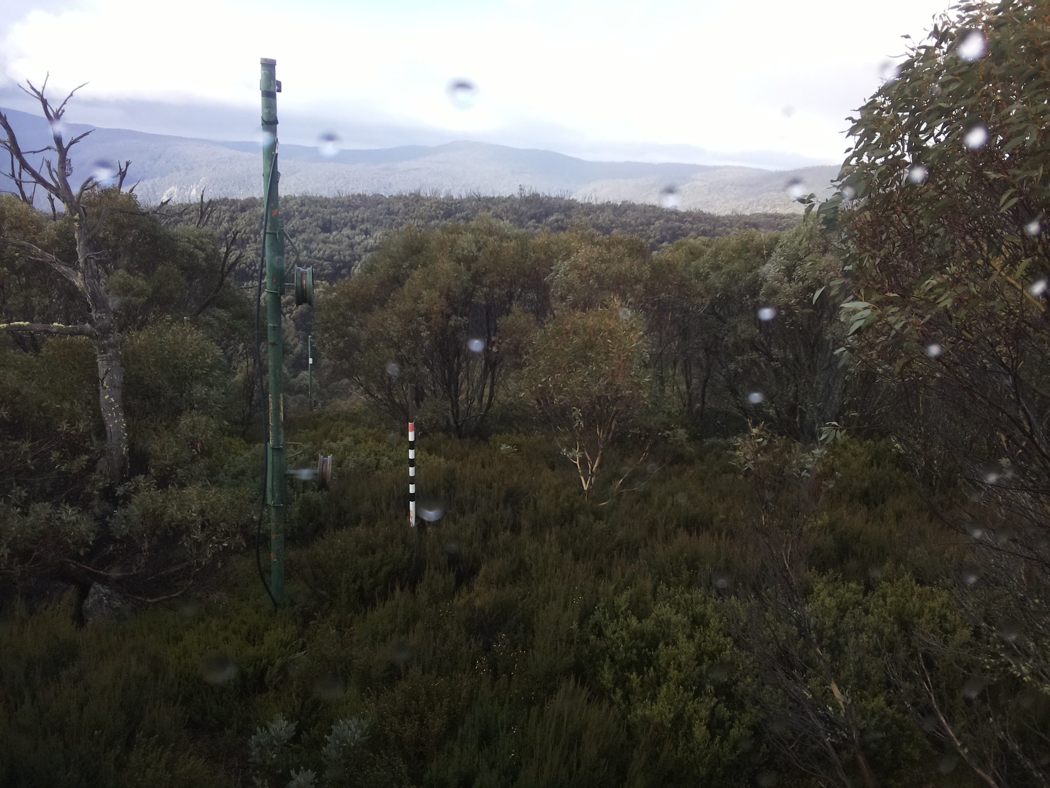 Bogong Web Cam 10:00am Saturday 24th of May 2025