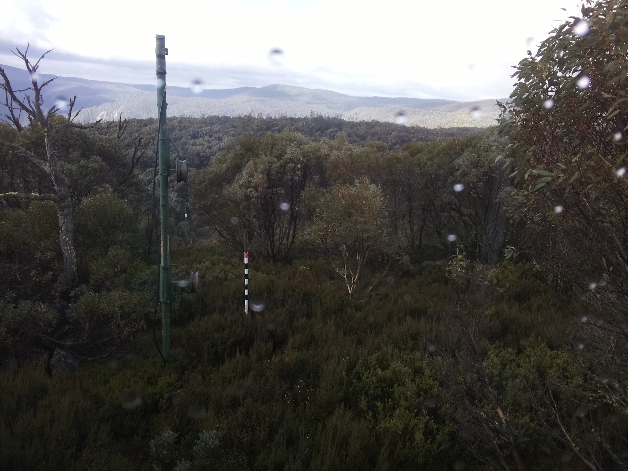 Bogong Web Cam 10:10am Saturday 24th of May 2025