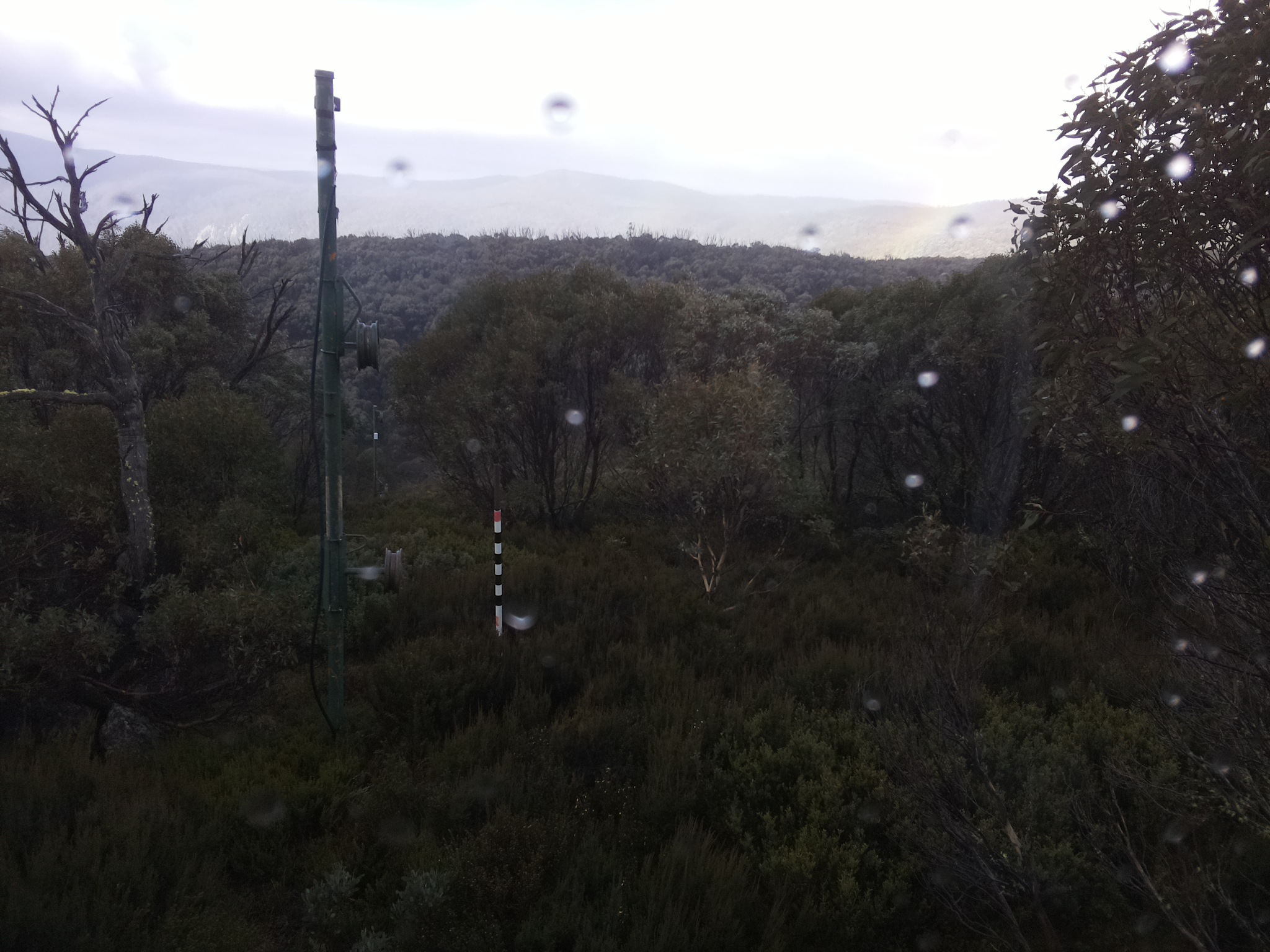 Bogong Web Cam 10:20am Saturday 24th of May 2025