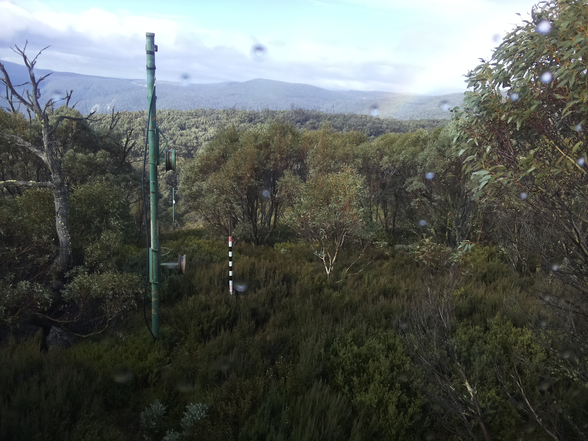 Bogong Web Cam 10:40am Saturday 24th of May 2025