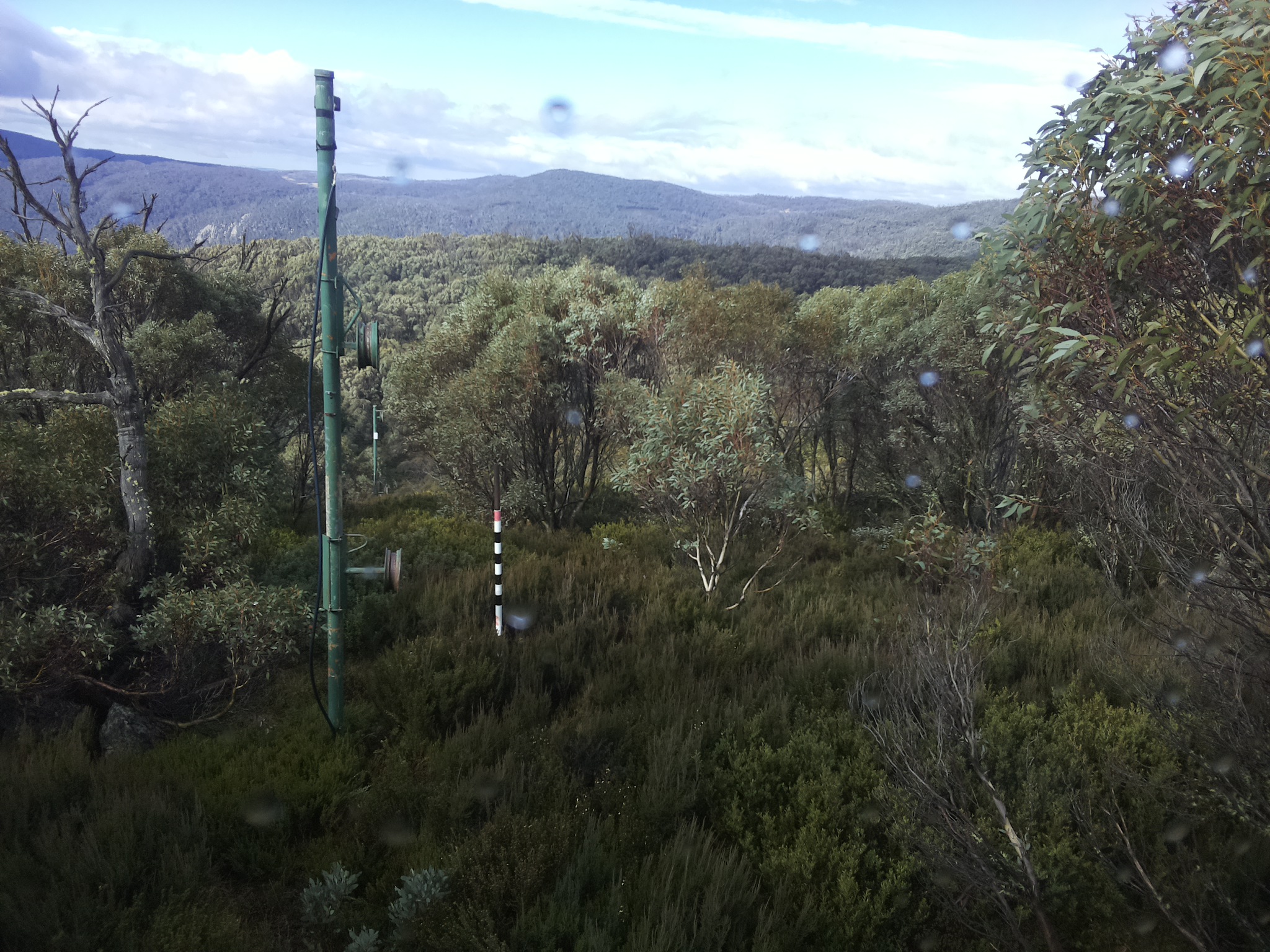 Bogong Web Cam 10:50am Saturday 24th of May 2025