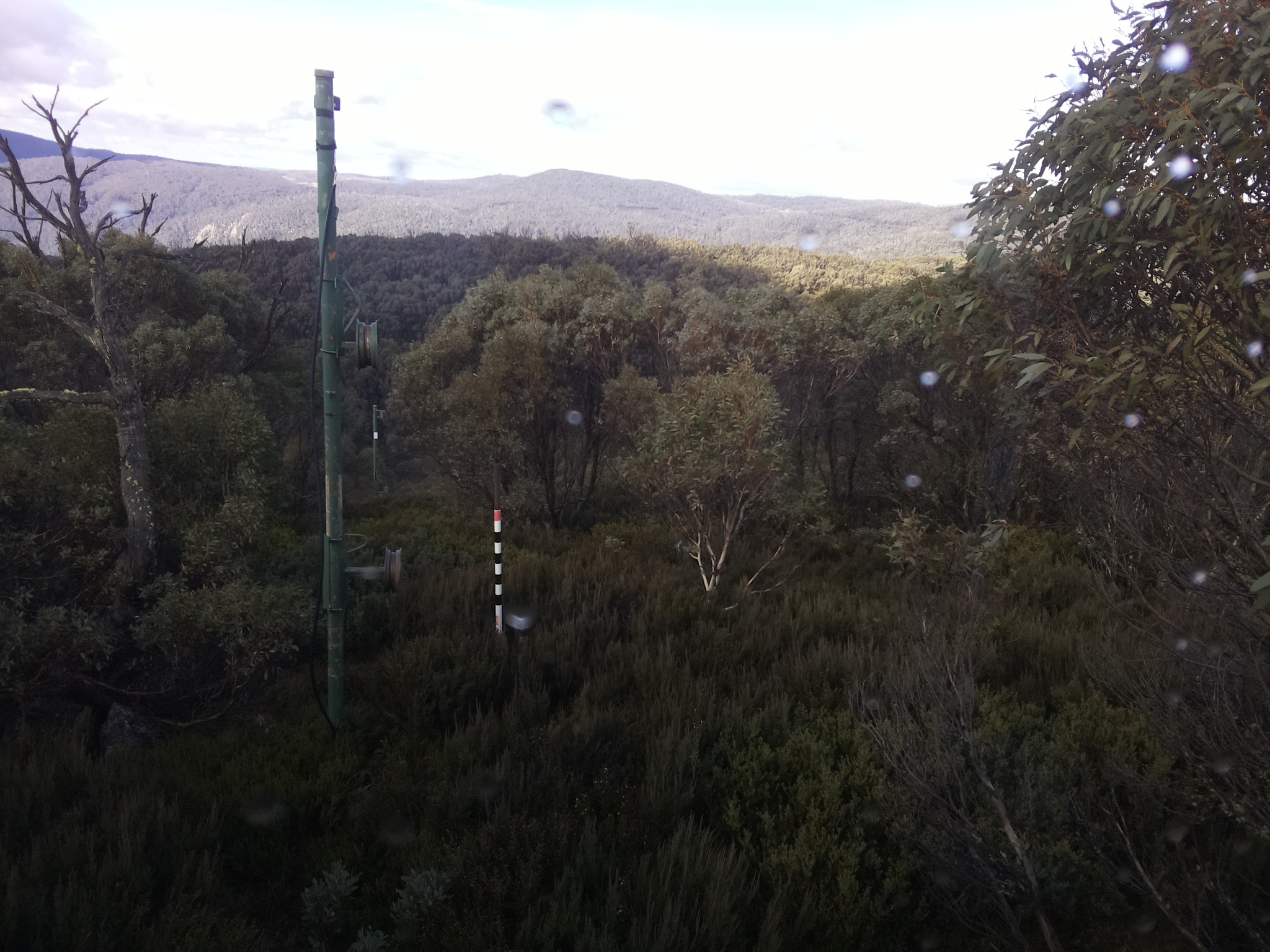 Bogong Web Cam 11:00am Saturday 24th of May 2025