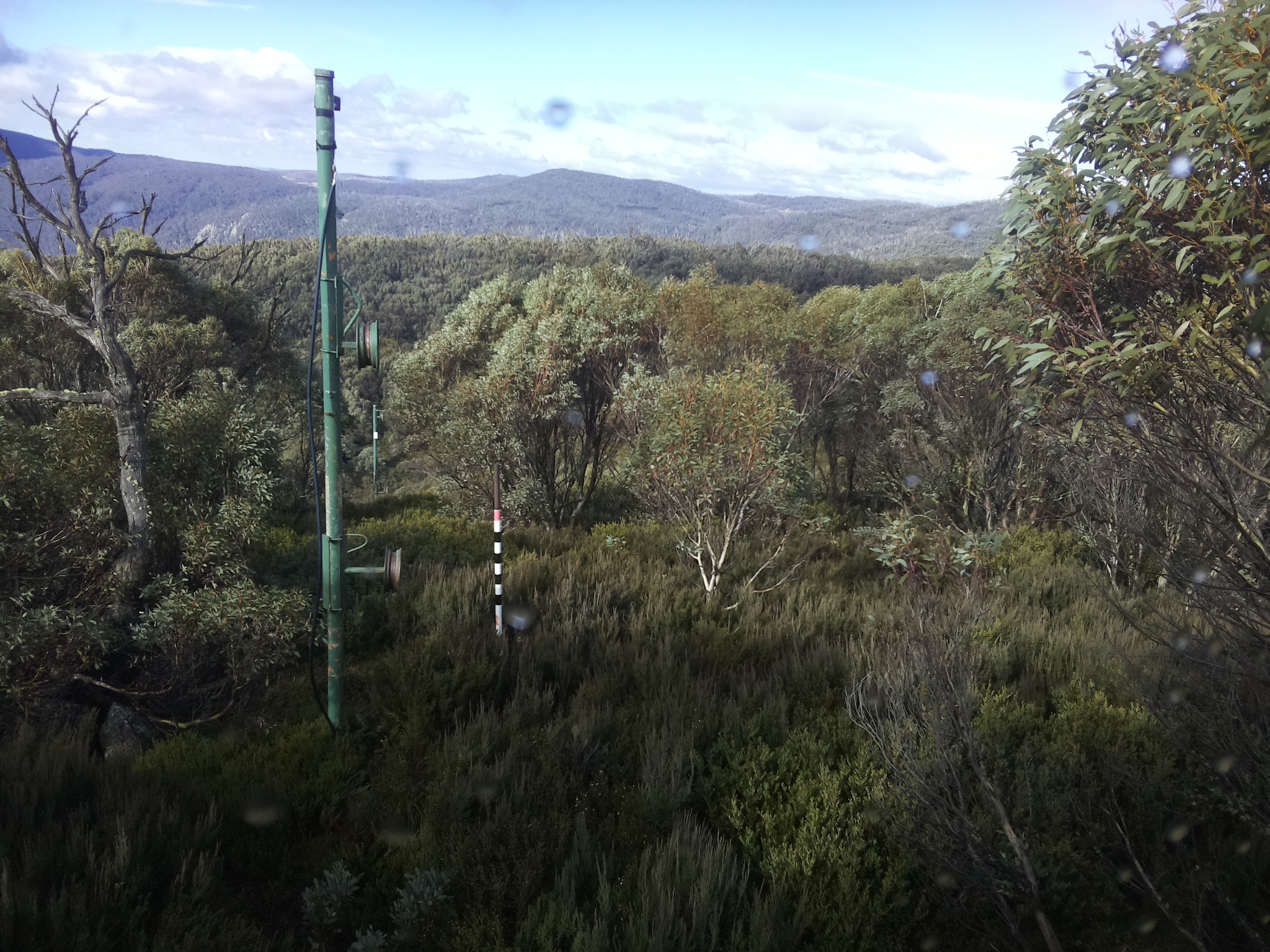 Bogong Web Cam 11:10am Saturday 24th of May 2025