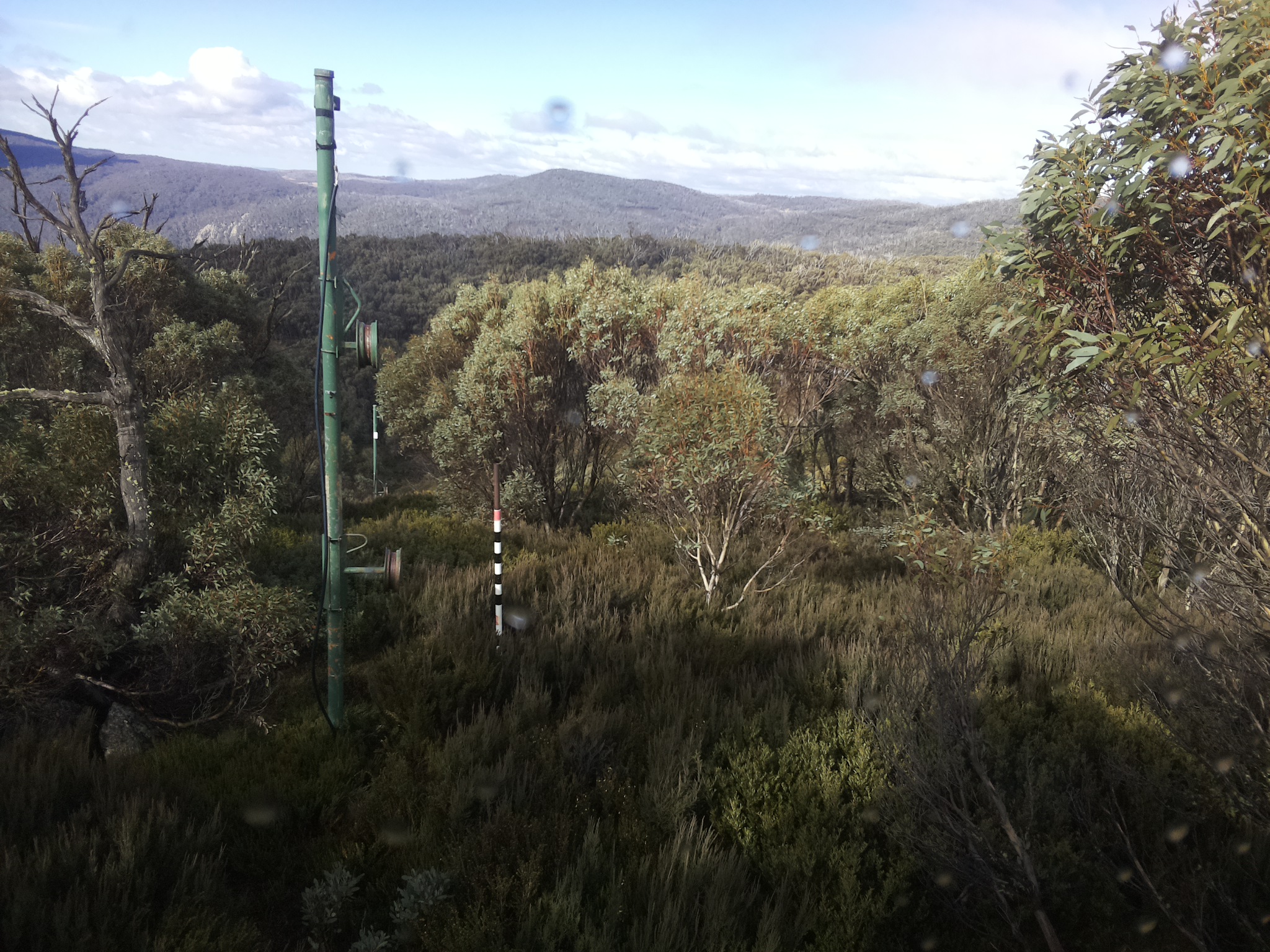 Bogong Web Cam 11:20am Saturday 24th of May 2025