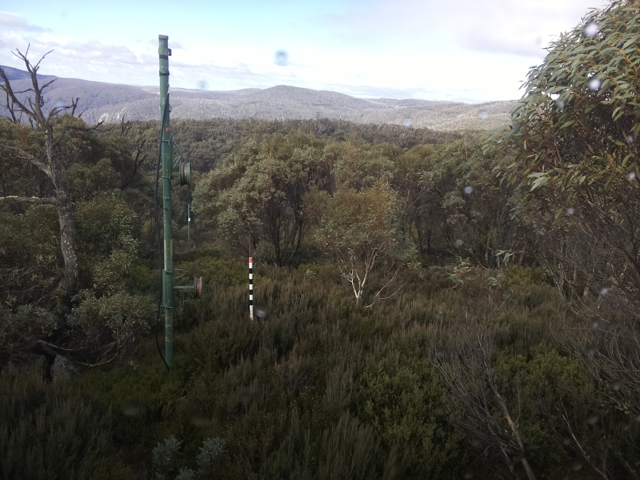 Bogong Web Cam 11:30am Saturday 24th of May 2025