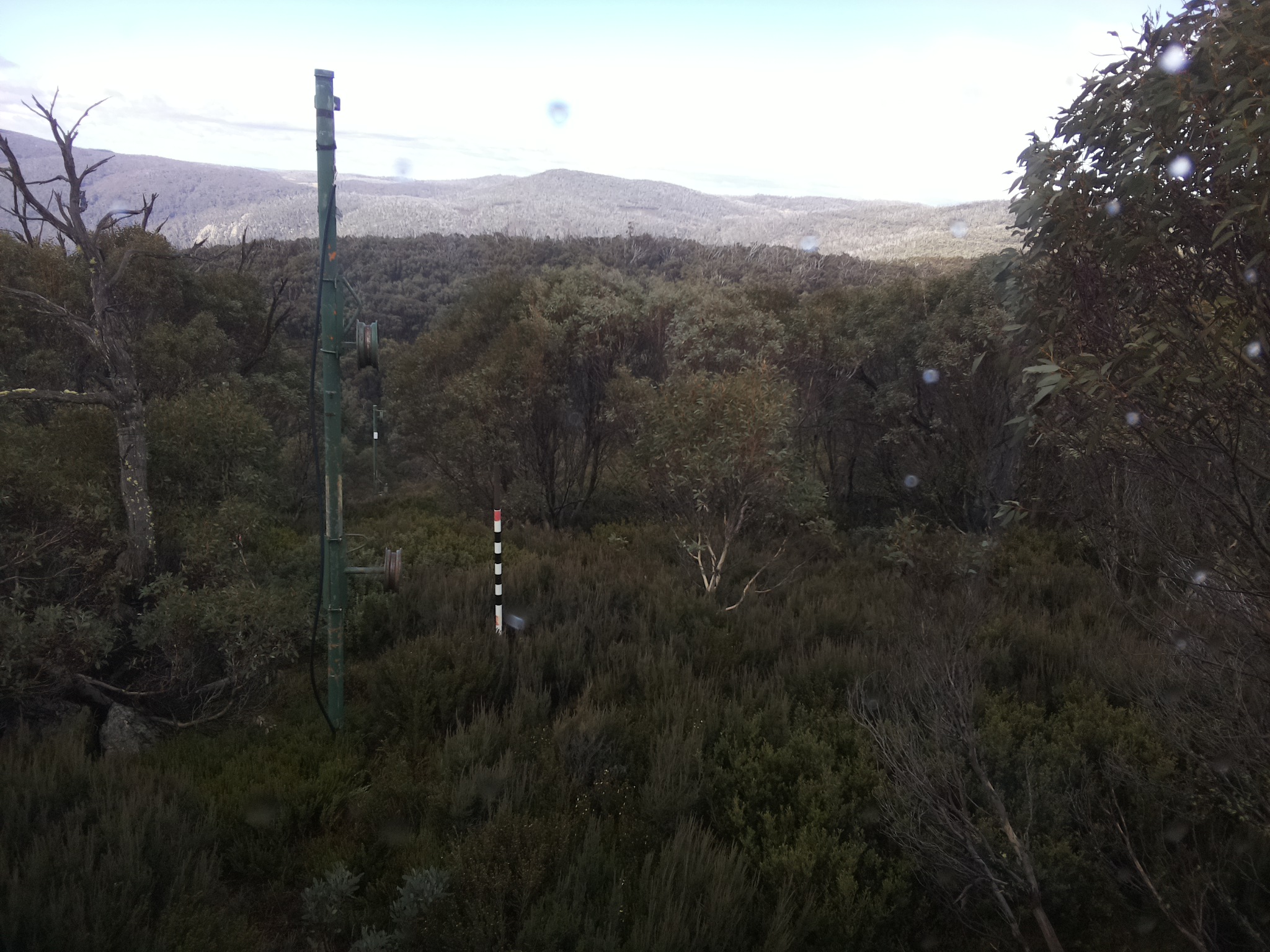 Bogong Web Cam 11:40am Saturday 24th of May 2025