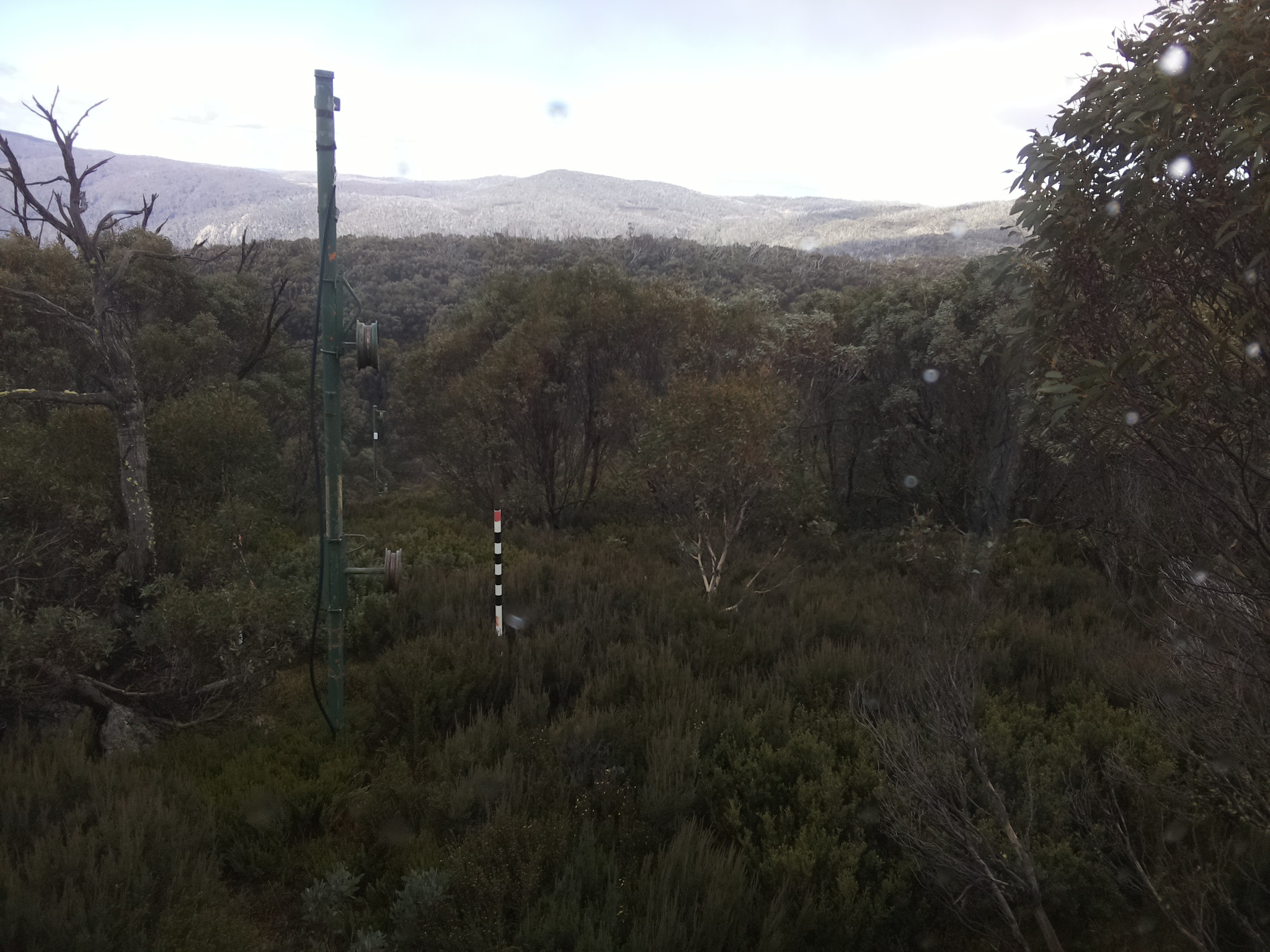Bogong Web Cam 11:50am Saturday 24th of May 2025