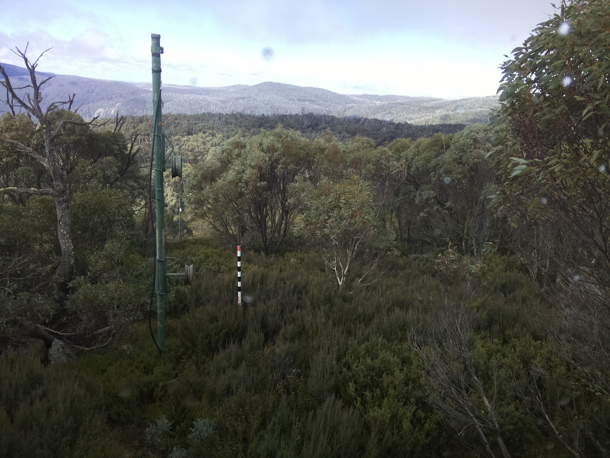 Bogong Web Cam 12:00pm Saturday 24th of May 2025