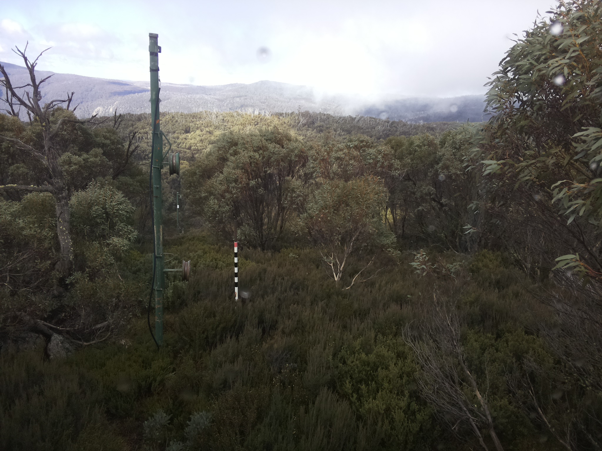Bogong Web Cam 12:10pm Saturday 24th of May 2025