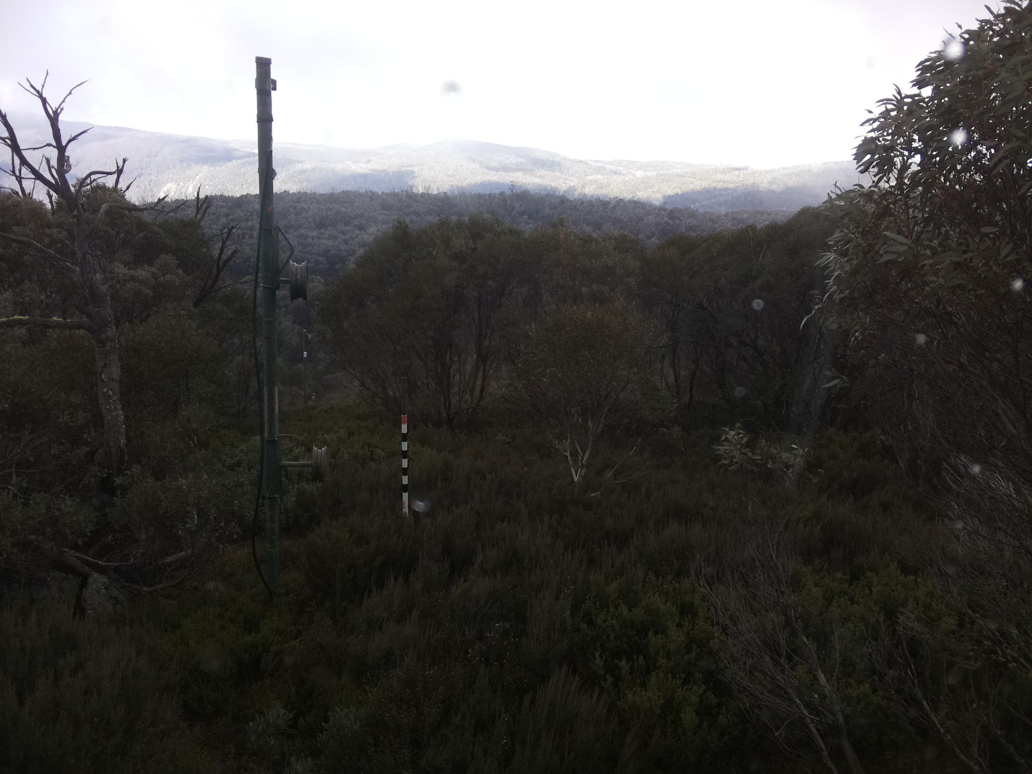 Bogong Web Cam 12:20pm Saturday 24th of May 2025