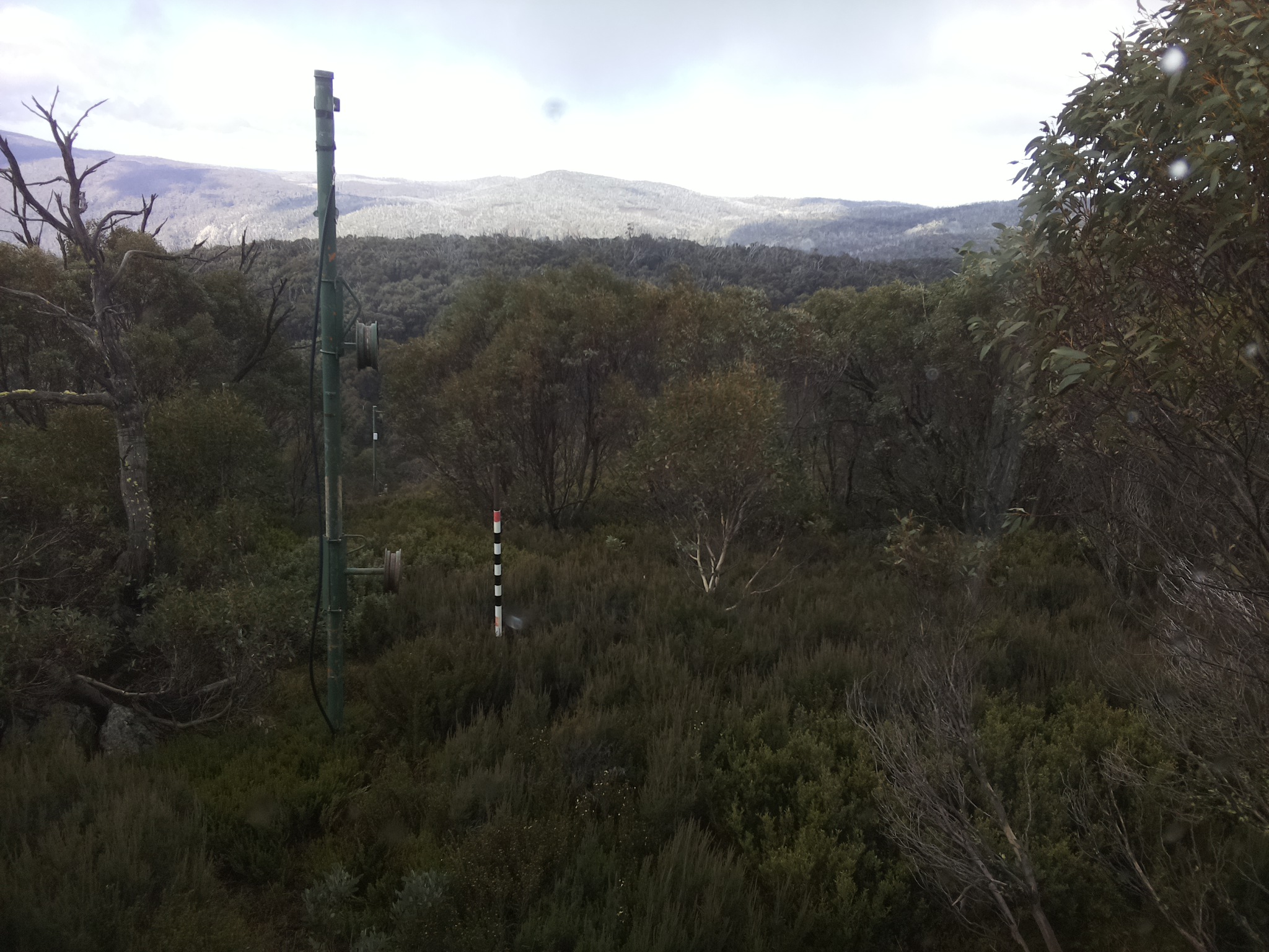 Bogong Web Cam 12:30pm Saturday 24th of May 2025