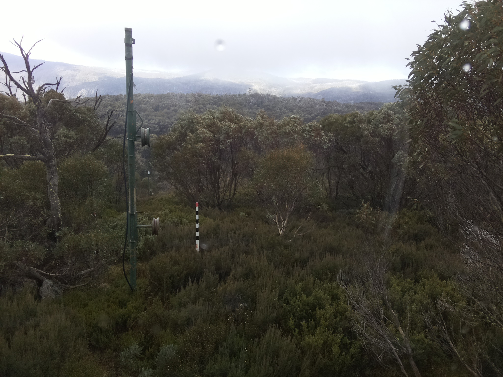 Bogong Web Cam 12:40pm Saturday 24th of May 2025