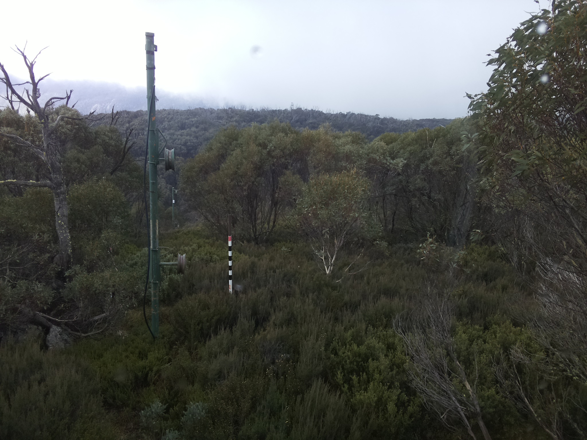 Bogong Web Cam 12:50pm Saturday 24th of May 2025