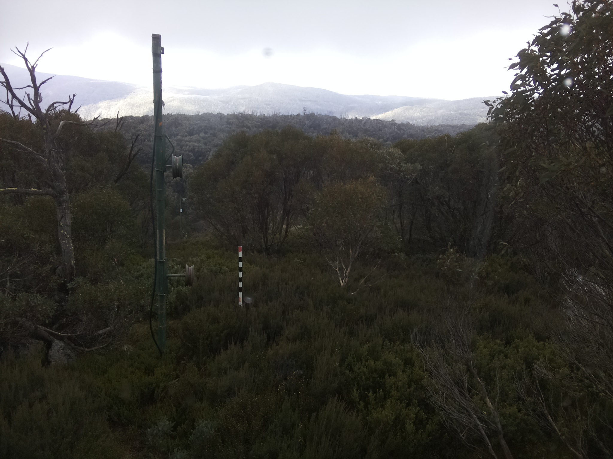Bogong Web Cam 1:00pm Saturday 24th of May 2025