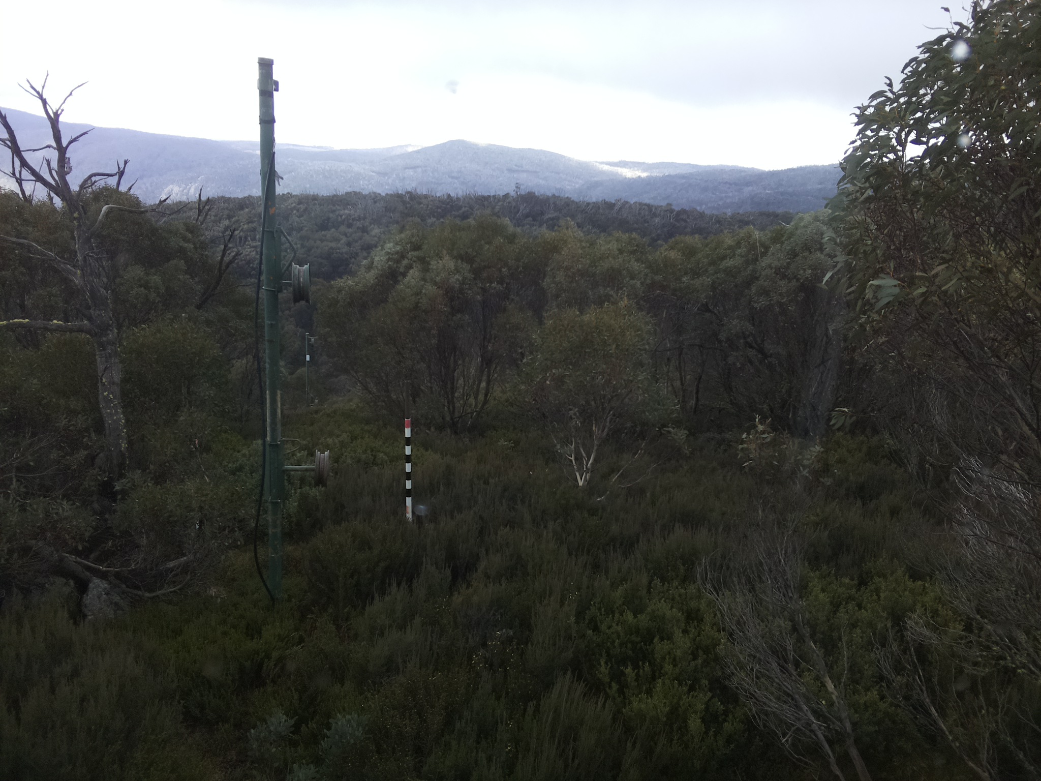 Bogong Web Cam 1:10pm Saturday 24th of May 2025