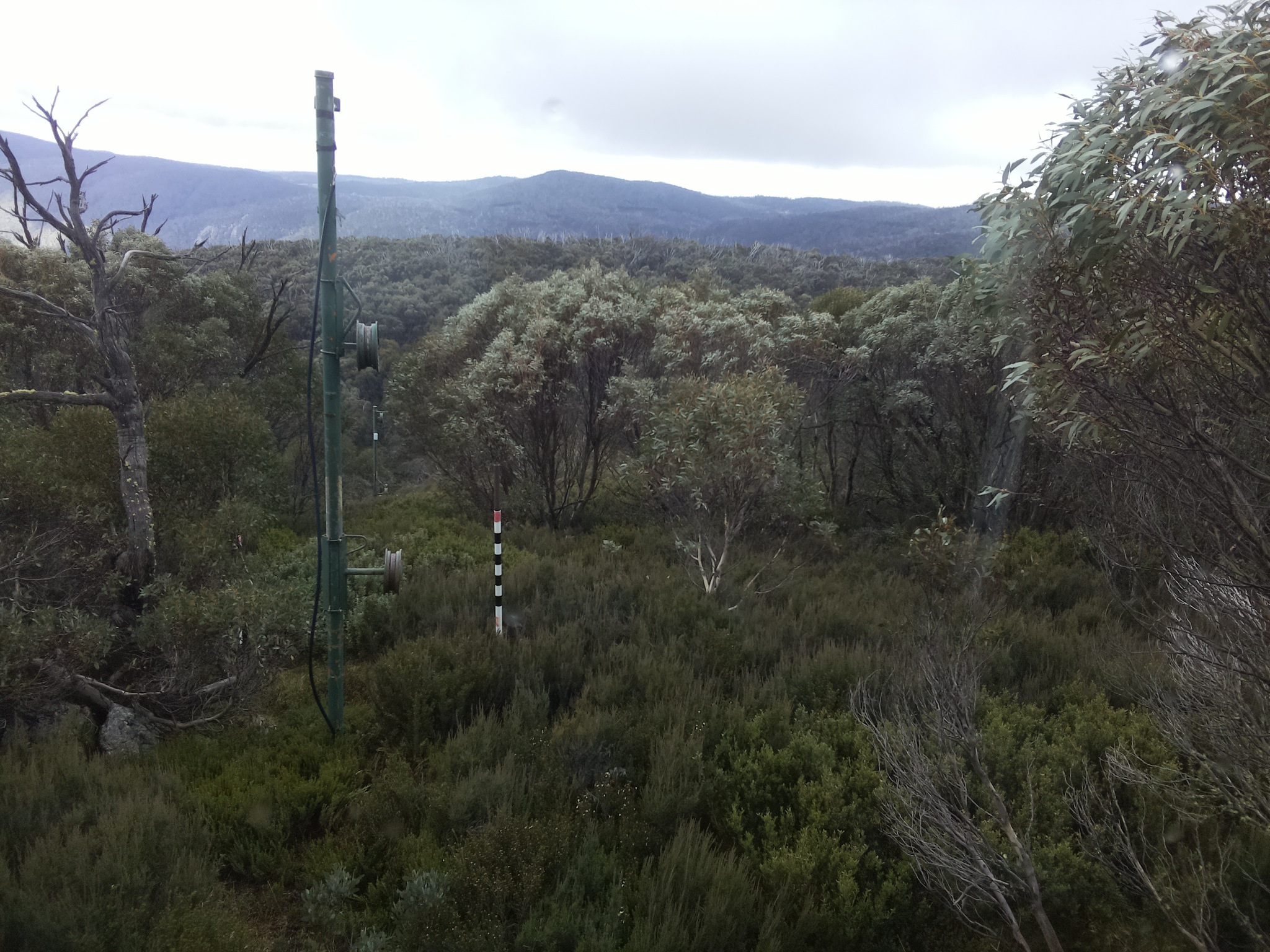 Bogong Web Cam 1:20pm Saturday 24th of May 2025