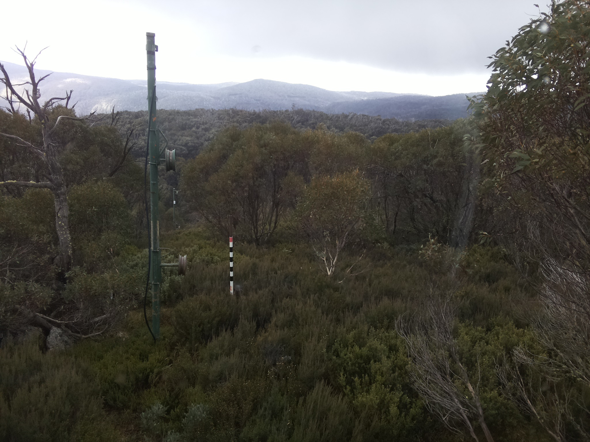 Bogong Web Cam 1:30pm Saturday 24th of May 2025