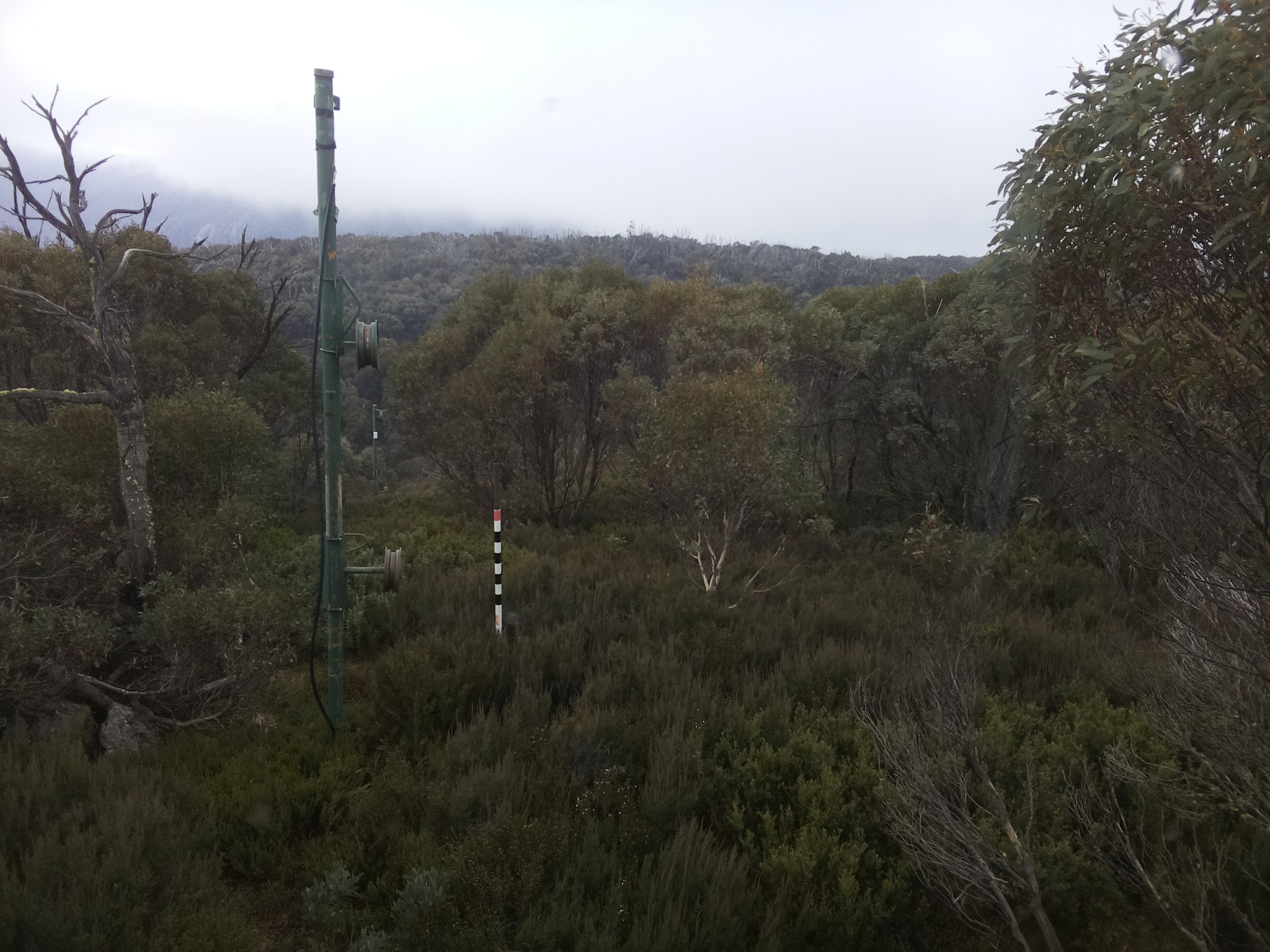 Bogong Web Cam 1:40pm Saturday 24th of May 2025