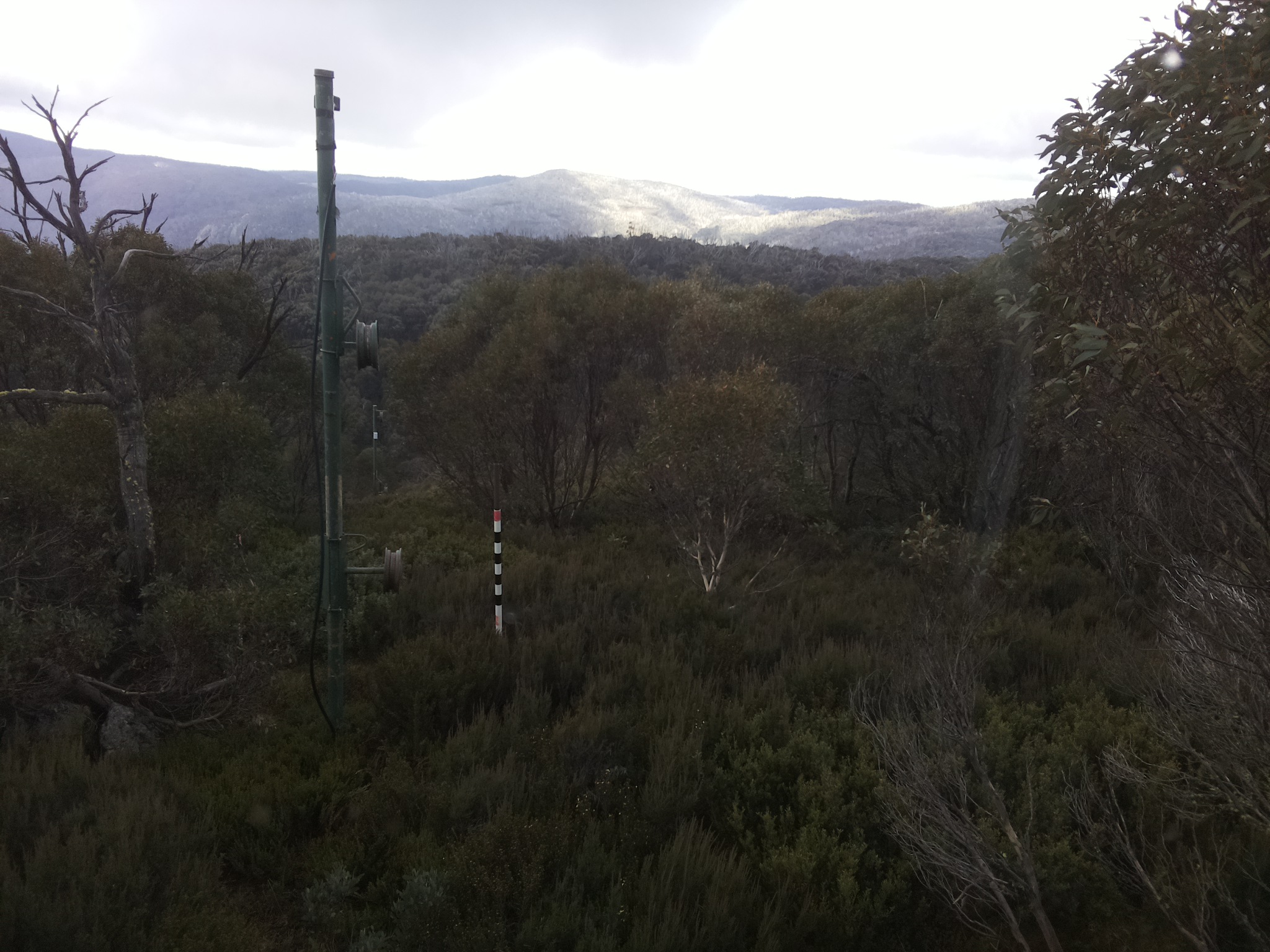 Bogong Web Cam 1:50pm Saturday 24th of May 2025