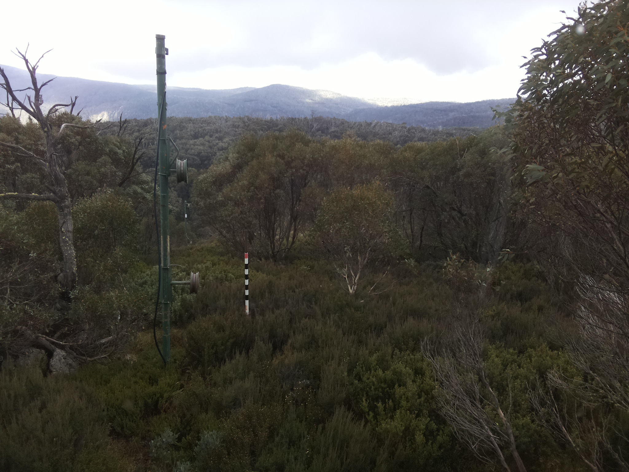 Bogong Web Cam 2:00pm Saturday 24th of May 2025