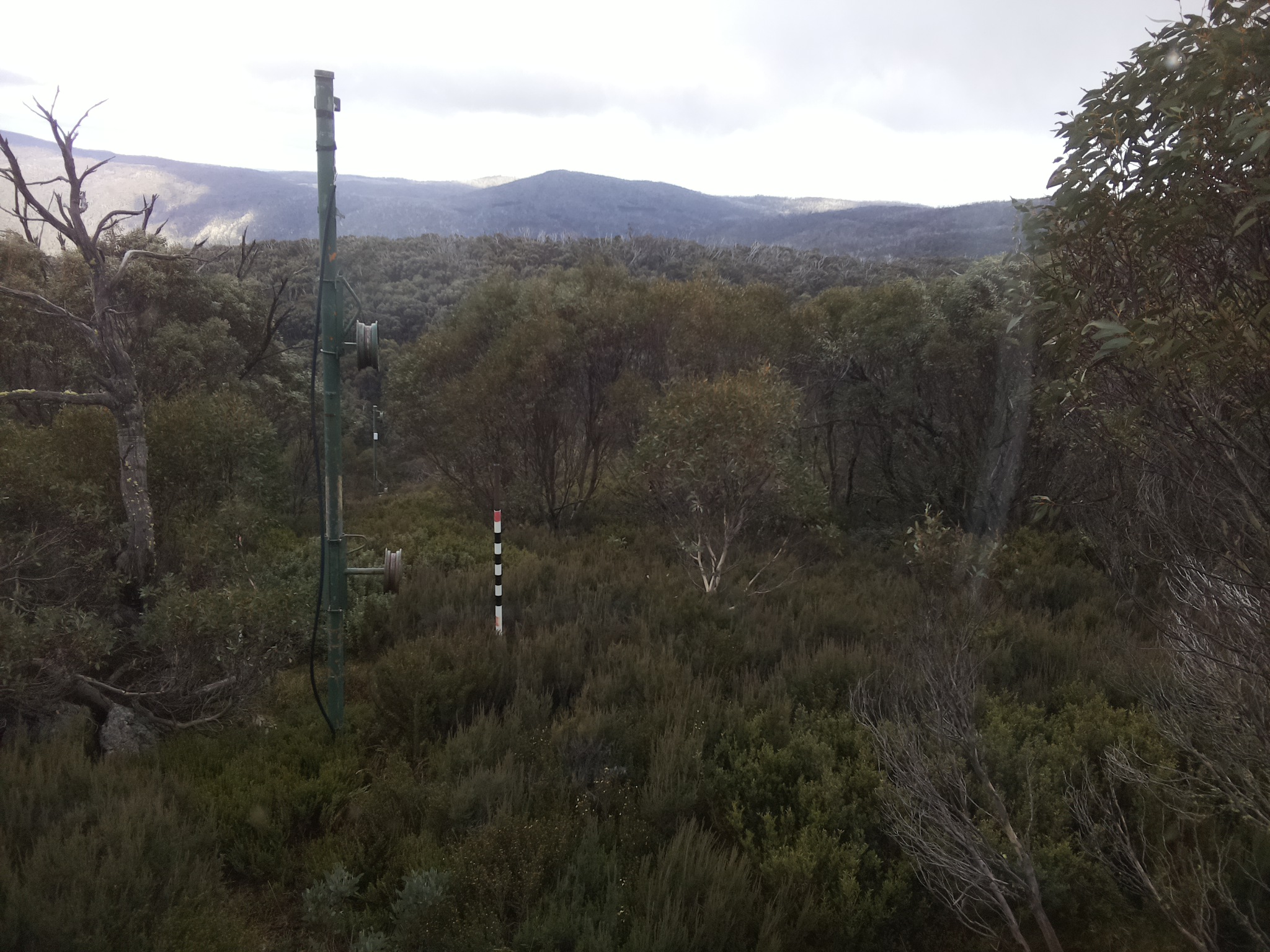 Bogong Web Cam 2:20pm Saturday 24th of May 2025