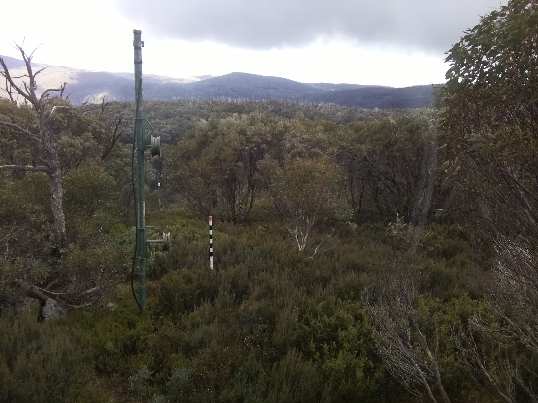 Bogong Web Cam 2:30pm Saturday 24th of May 2025