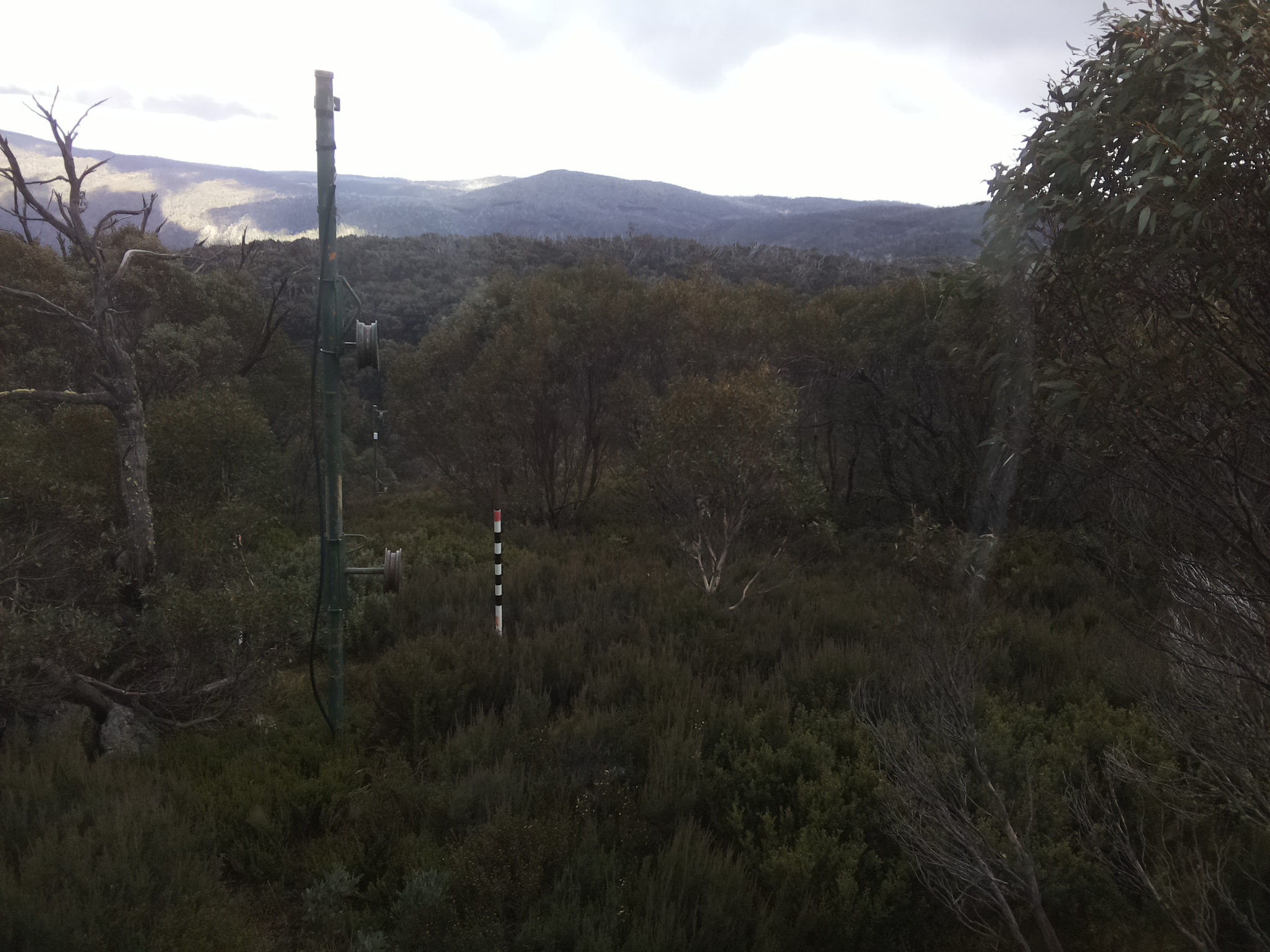 Bogong Web Cam 2:40pm Saturday 24th of May 2025