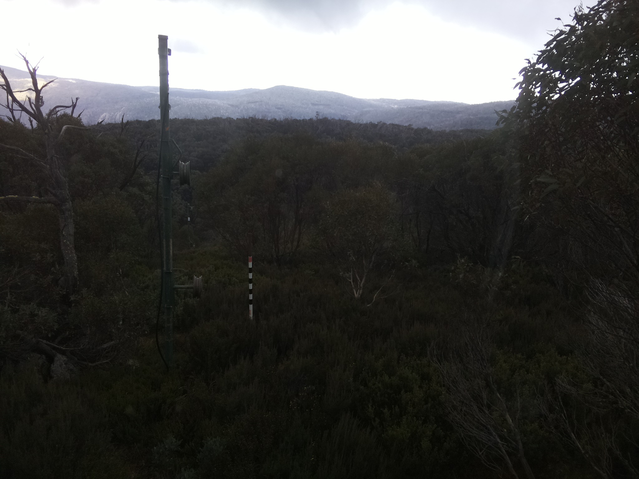 Bogong Web Cam 2:50pm Saturday 24th of May 2025