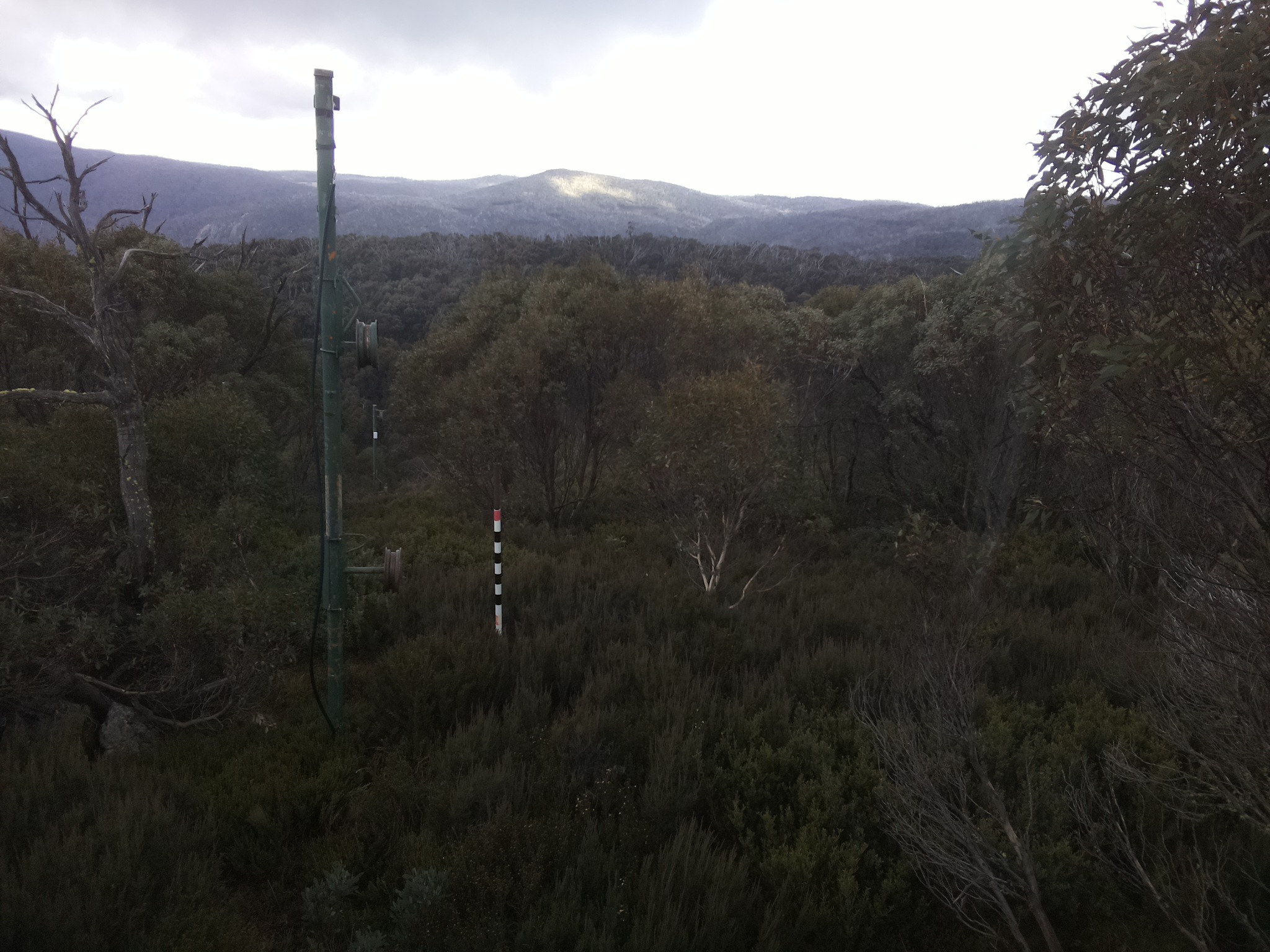 Bogong Web Cam 3:00pm Saturday 24th of May 2025