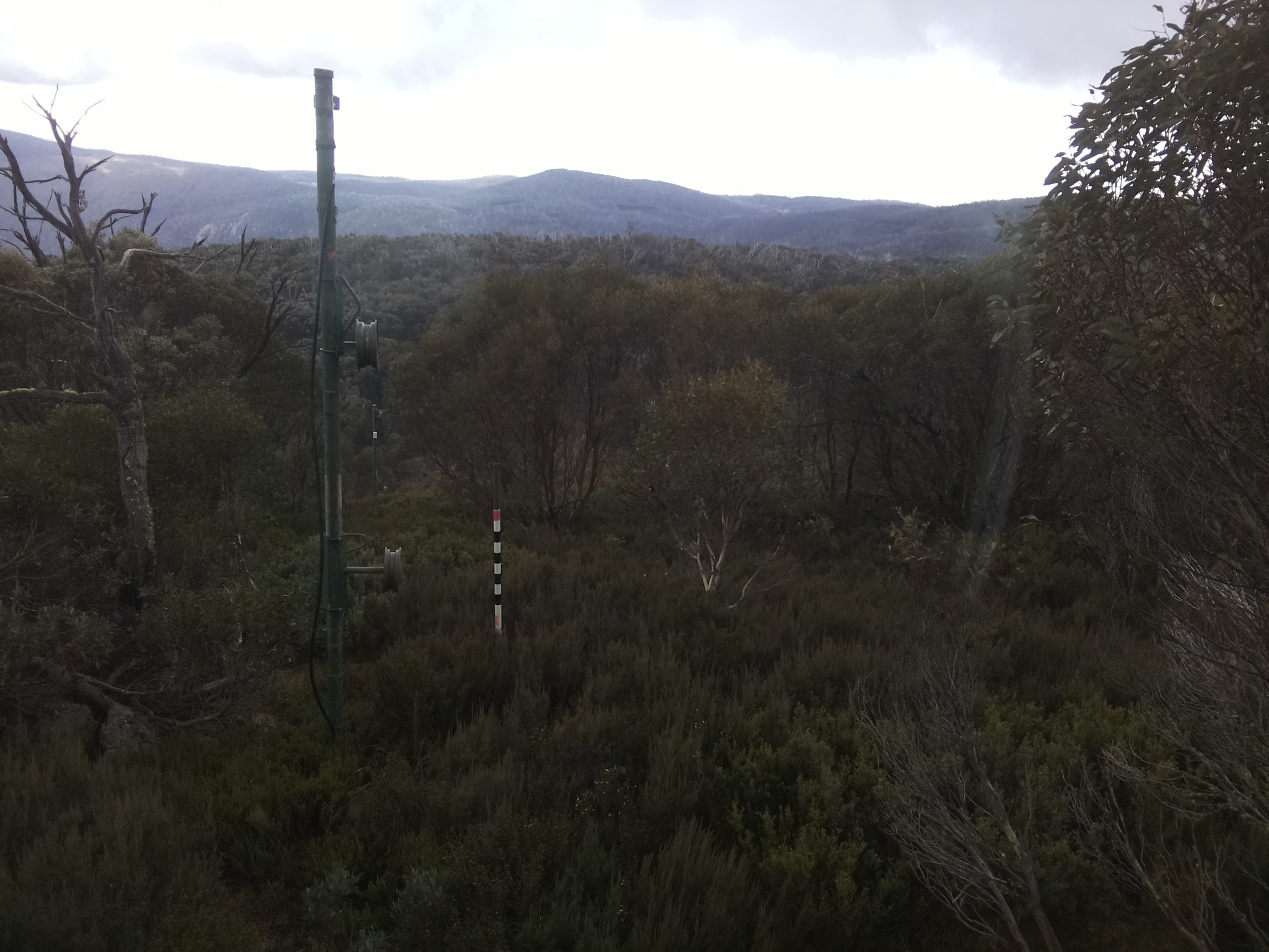 Bogong Web Cam 3:20pm Saturday 24th of May 2025