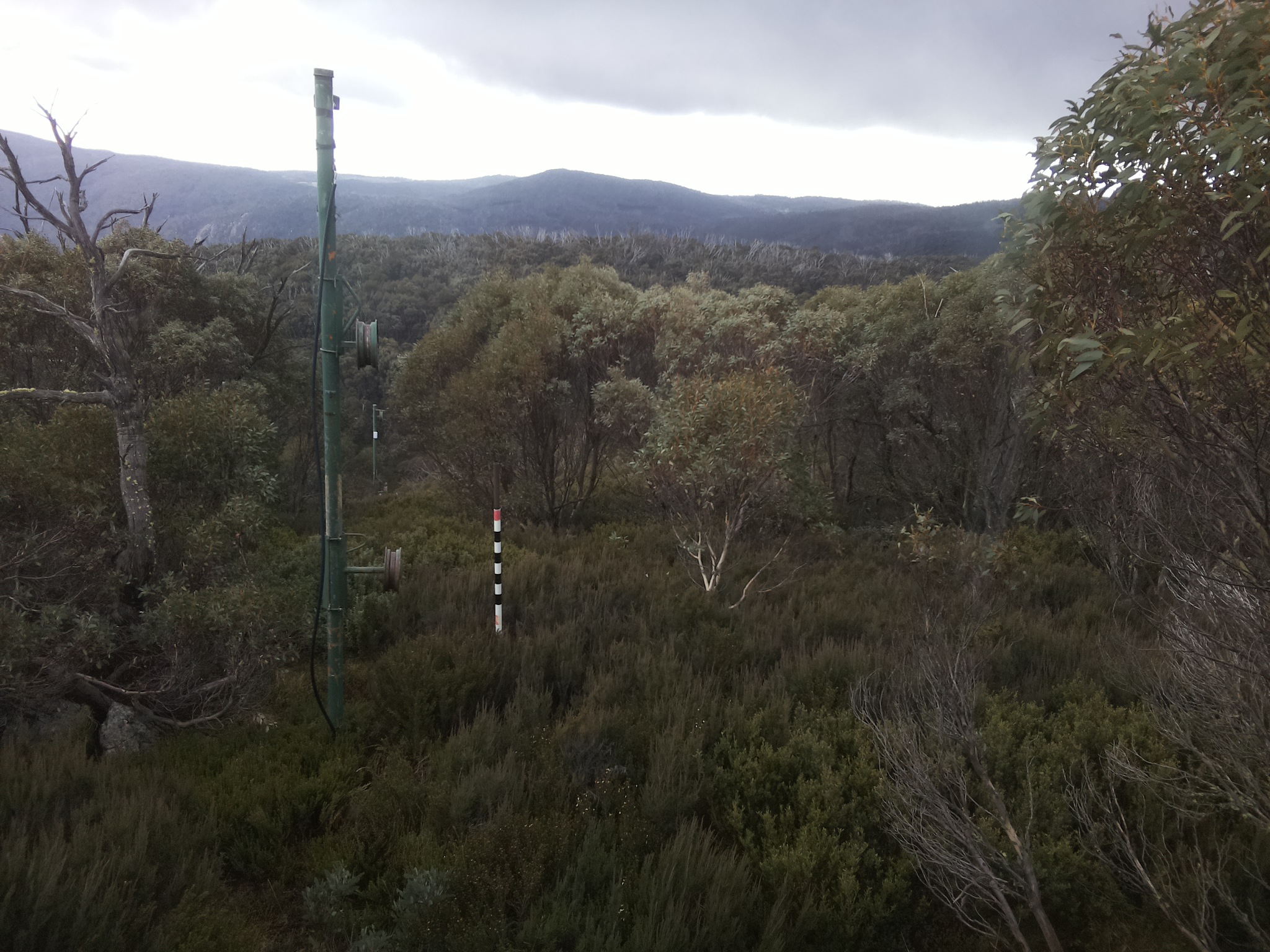 Bogong Web Cam 3:40pm Saturday 24th of May 2025