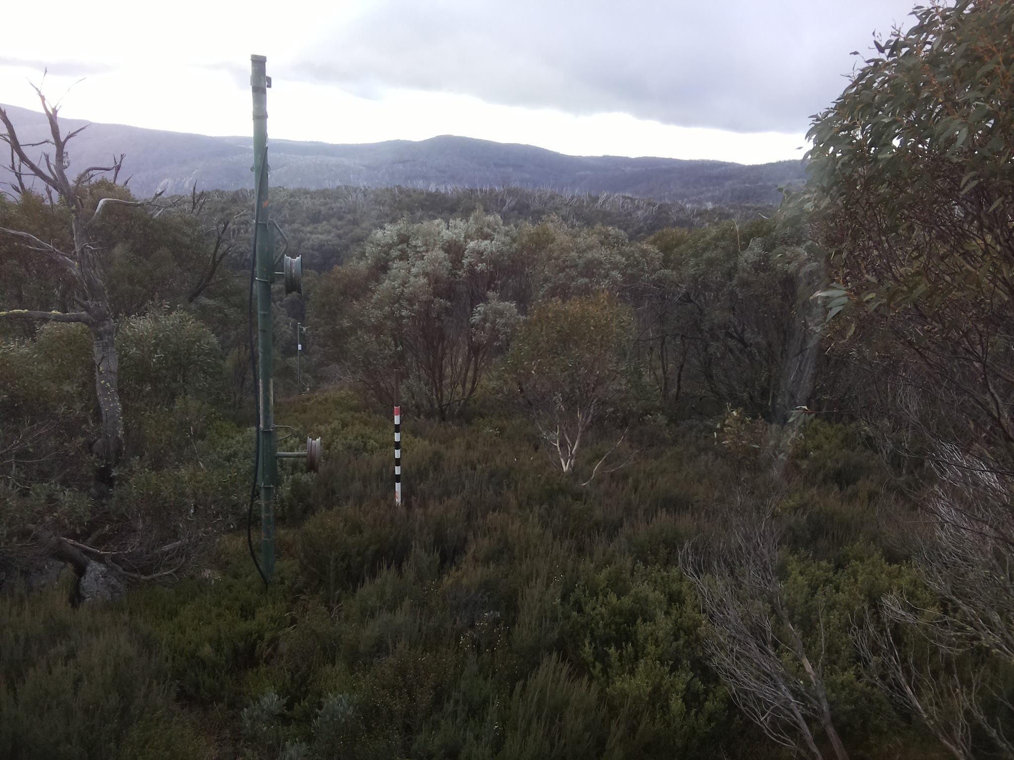 Bogong Web Cam 4:00pm Saturday 24th of May 2025