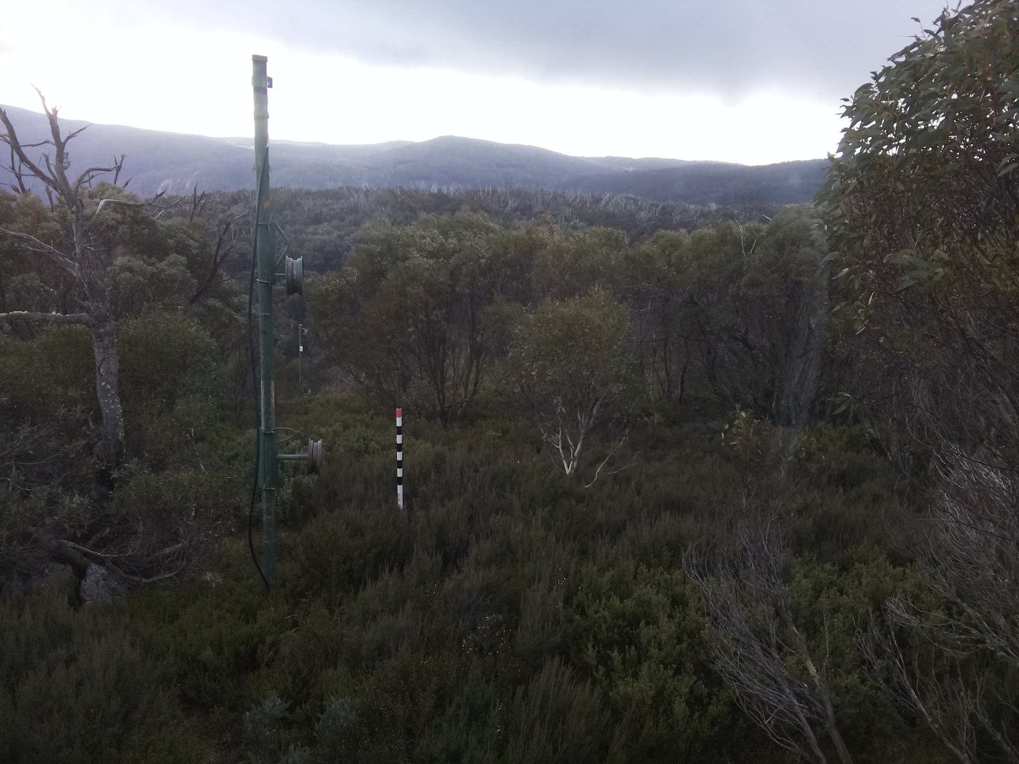 Bogong Web Cam 4:10pm Saturday 24th of May 2025