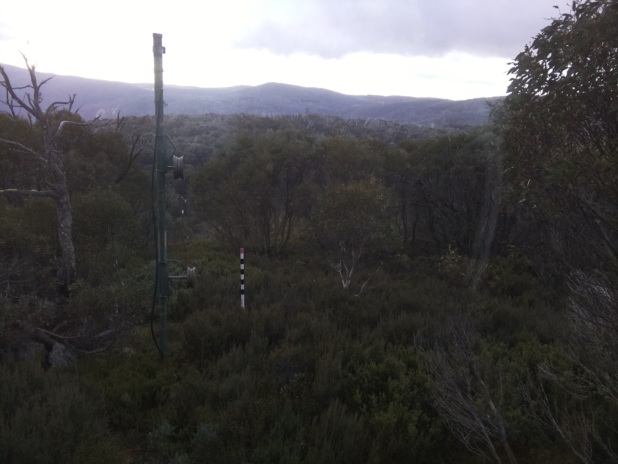 Bogong Web Cam 4:20pm Saturday 24th of May 2025