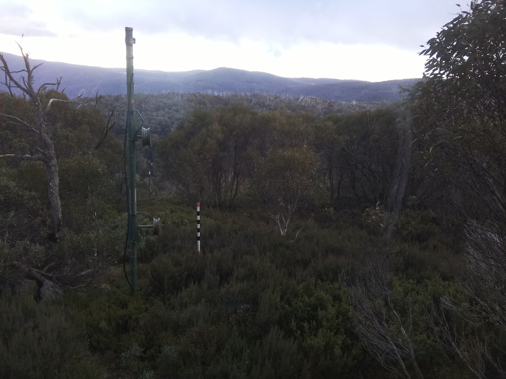 Bogong Web Cam 4:30pm Saturday 24th of May 2025