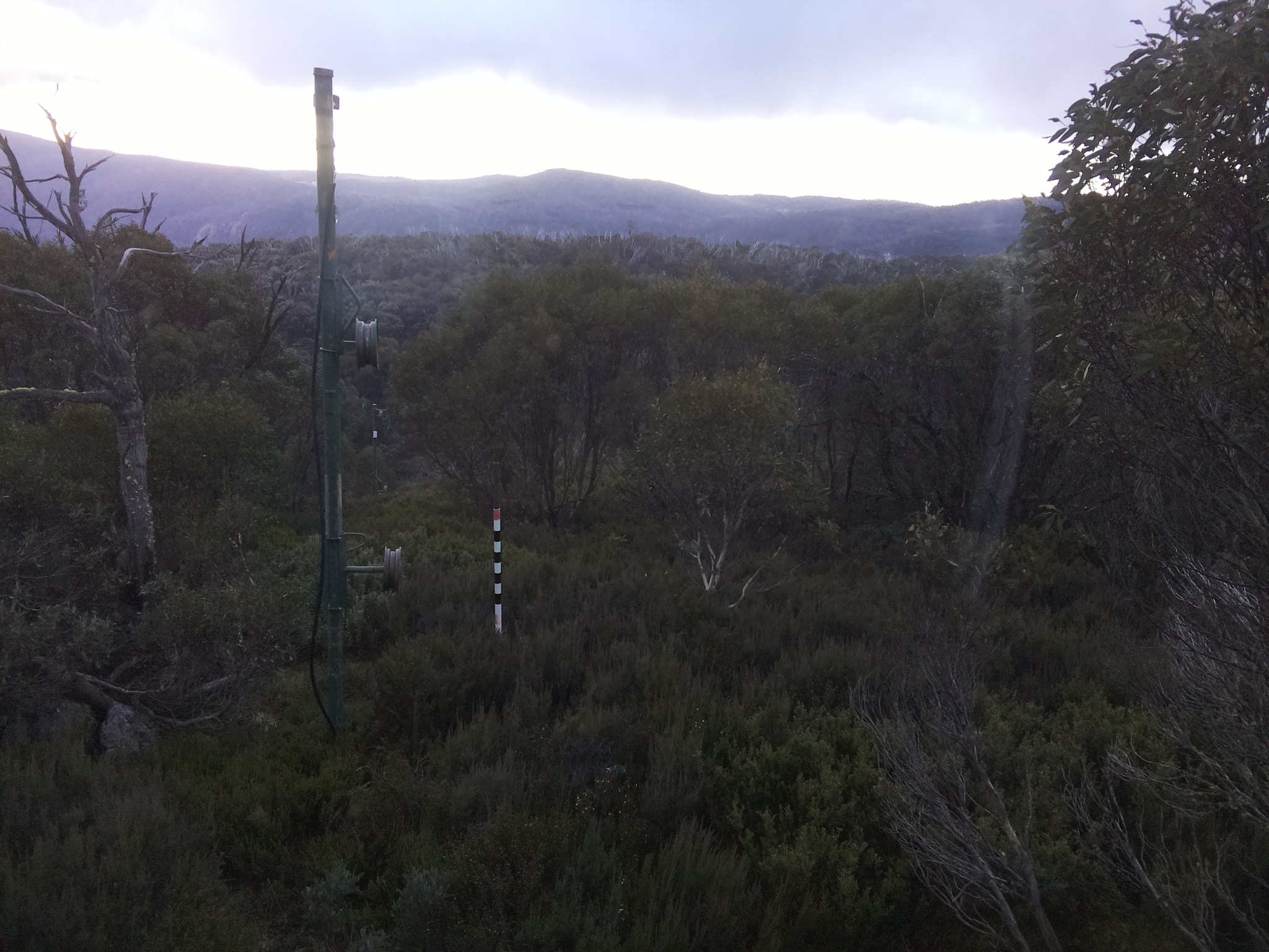 Bogong Web Cam 4:40pm Saturday 24th of May 2025