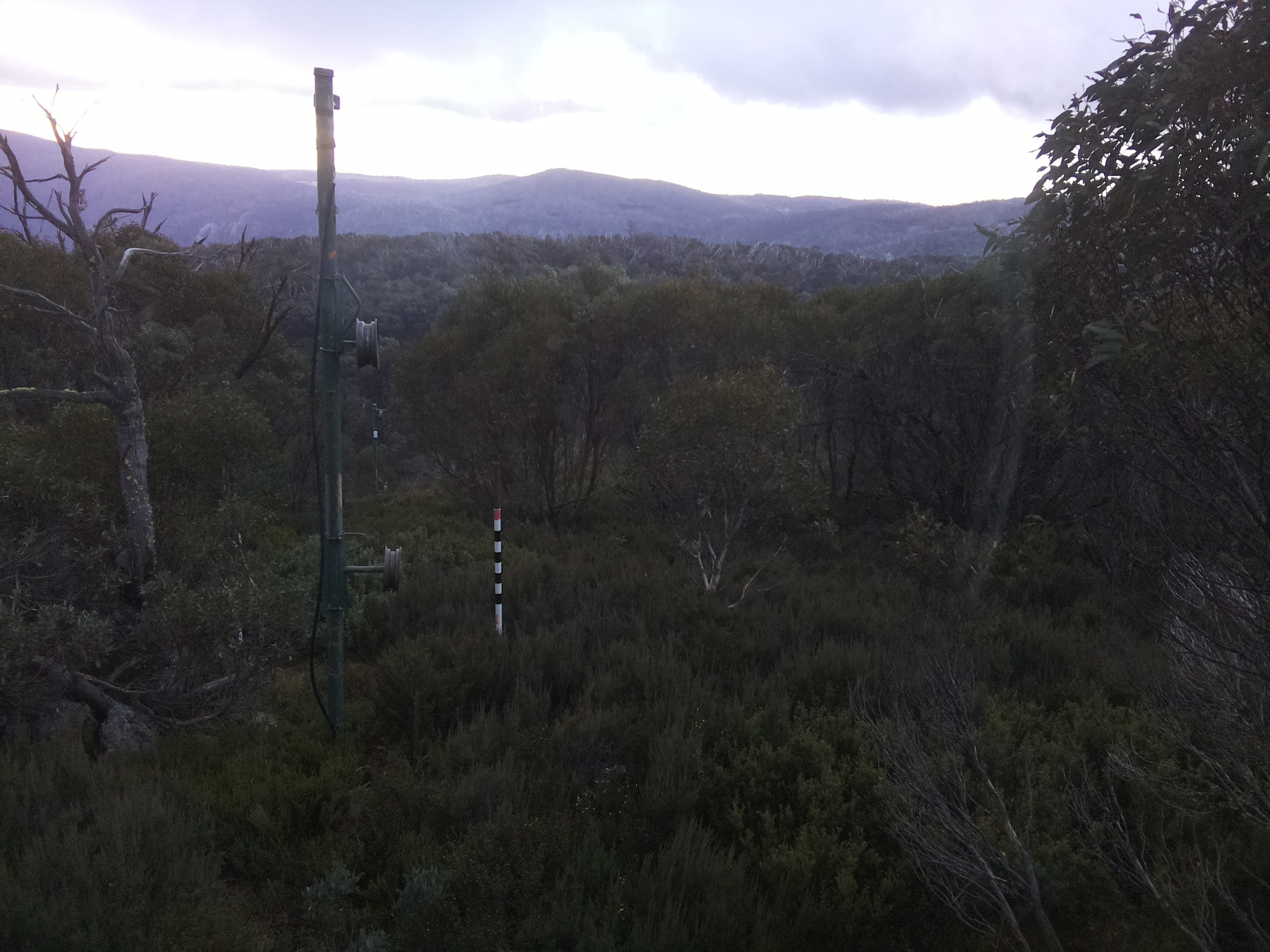 Bogong Web Cam 4:50pm Saturday 24th of May 2025