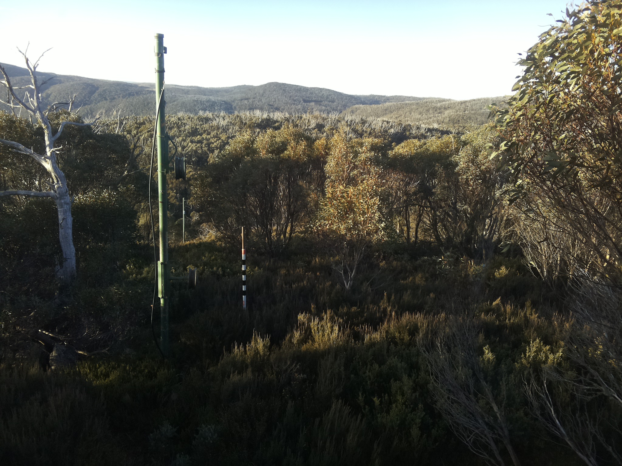Bogong Web Cam 8:00am Sunday 25th of May 2025