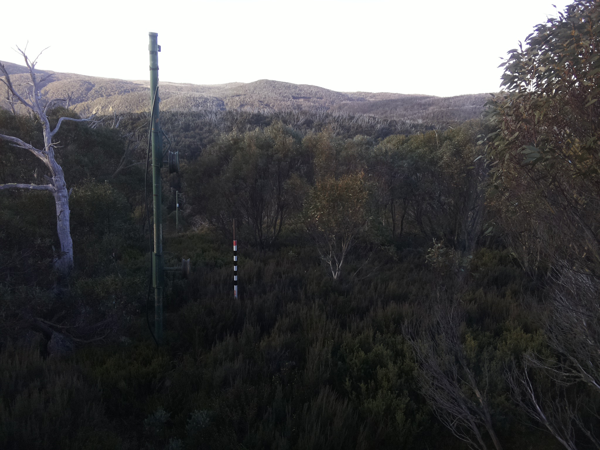 Bogong Web Cam 8:10am Sunday 25th of May 2025