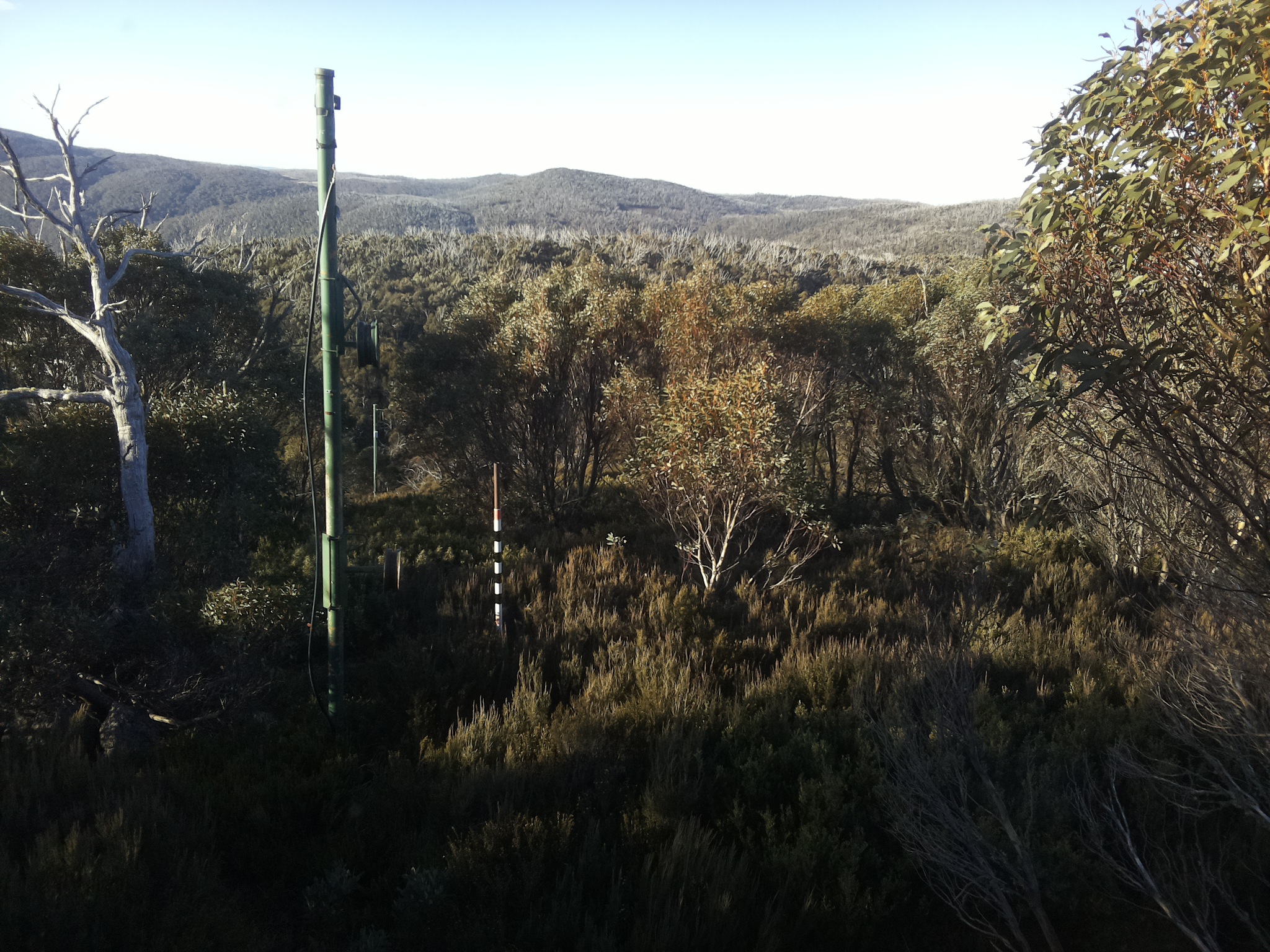 Bogong Web Cam 8:30am Sunday 25th of May 2025