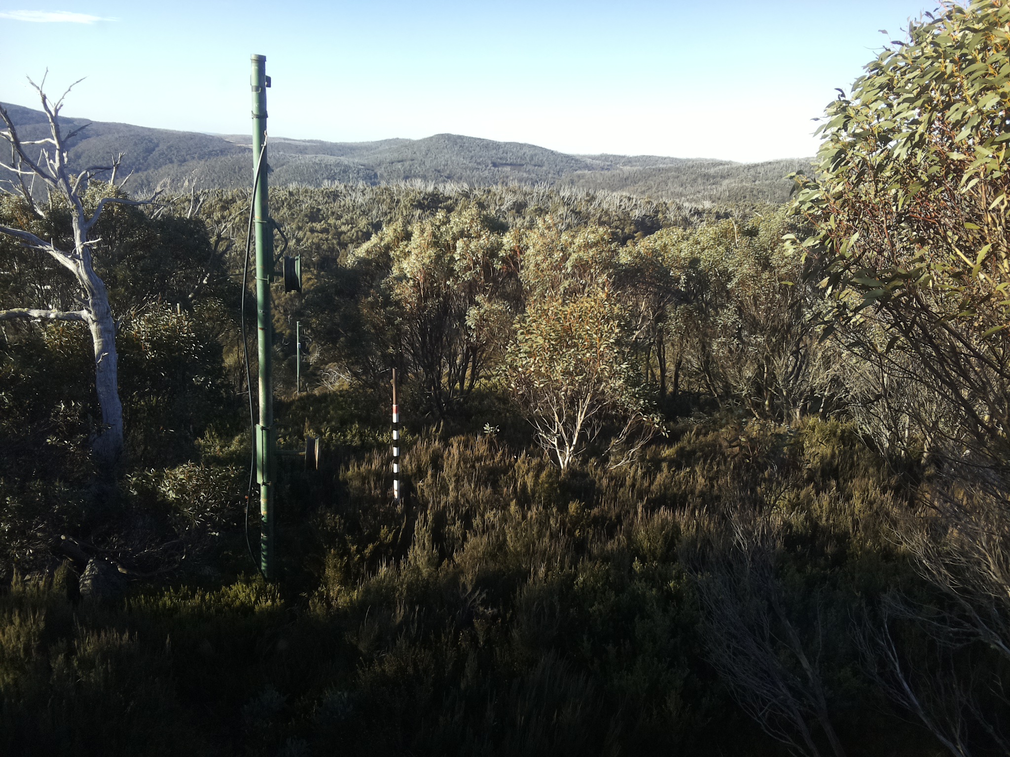 Bogong Web Cam 8:40am Sunday 25th of May 2025