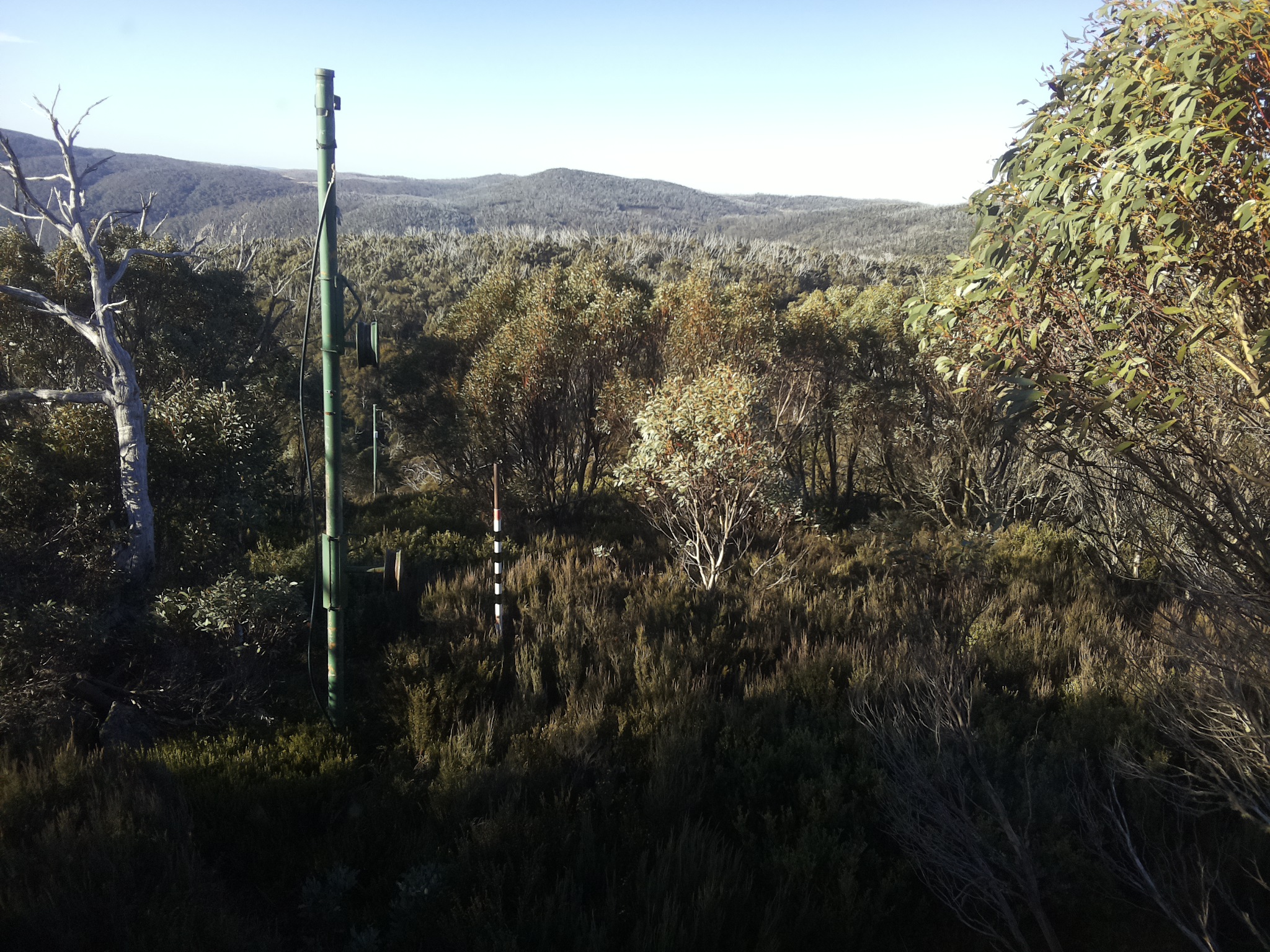 Bogong Web Cam 8:50am Sunday 25th of May 2025
