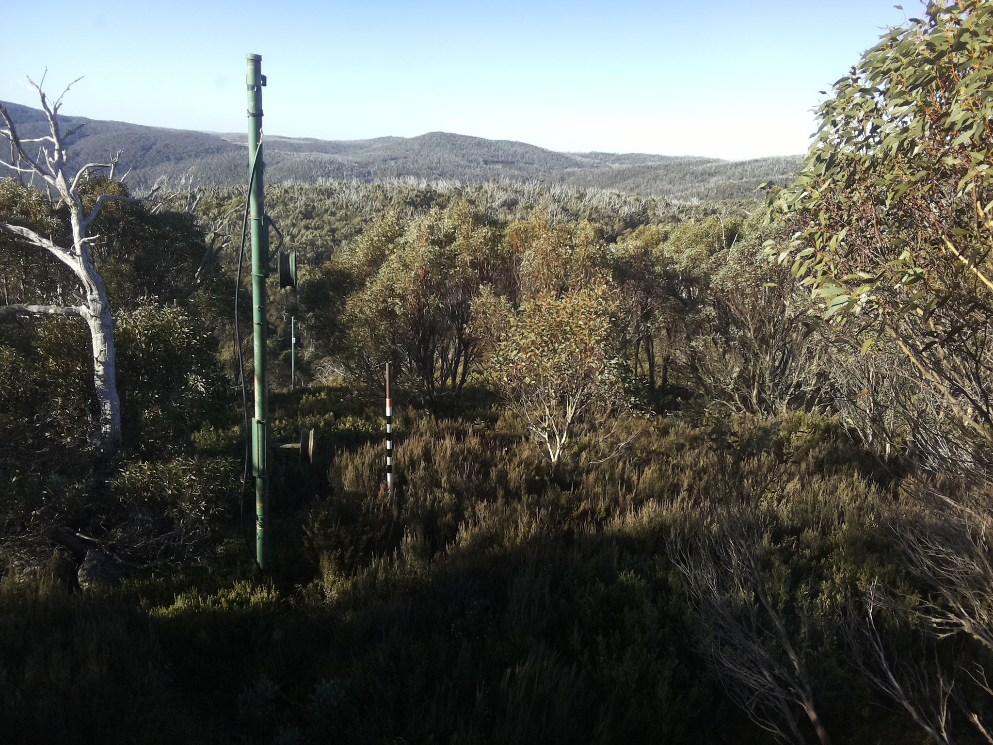 Bogong Web Cam 9:10am Sunday 25th of May 2025