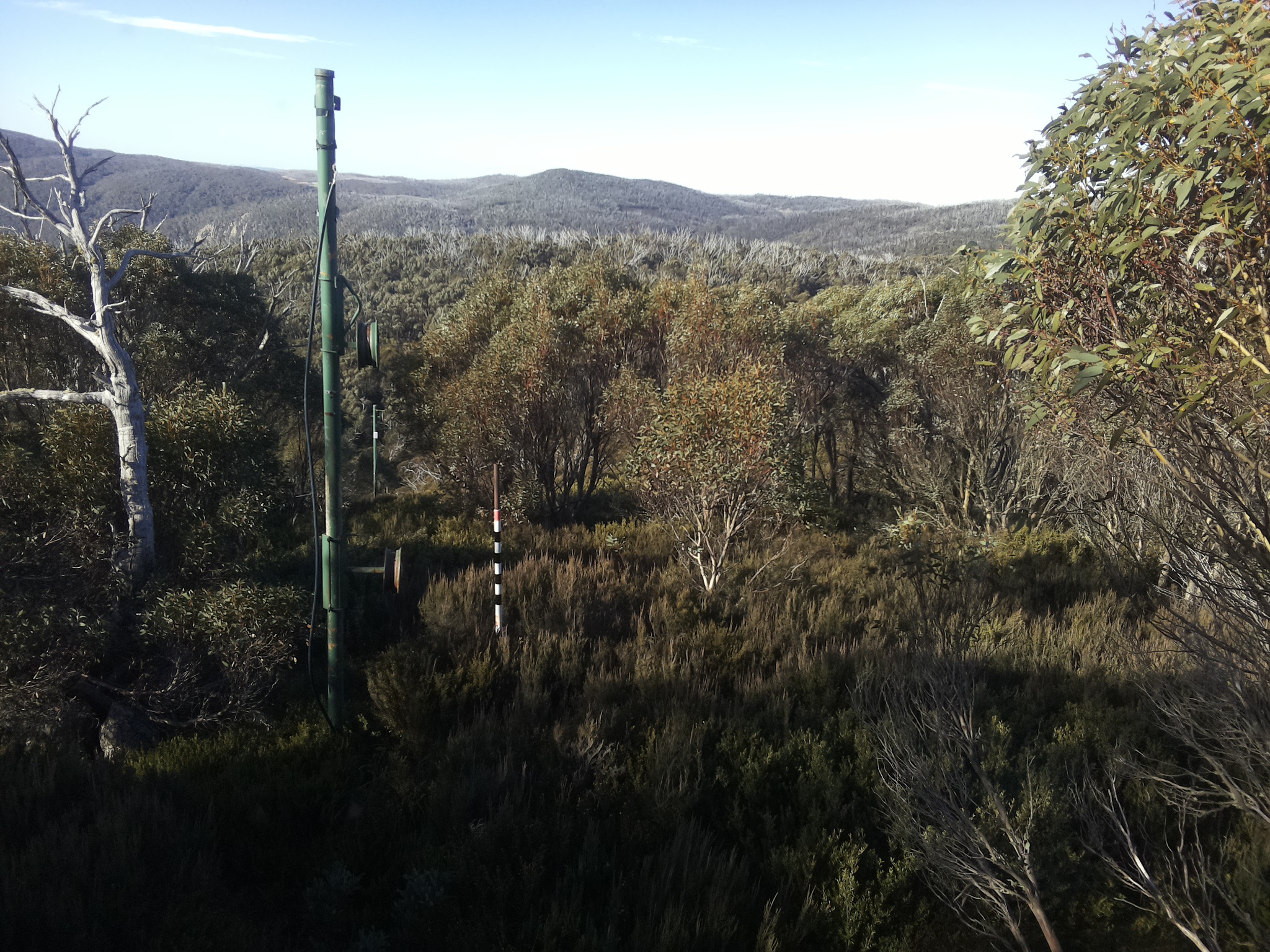 Bogong Web Cam 9:40am Sunday 25th of May 2025