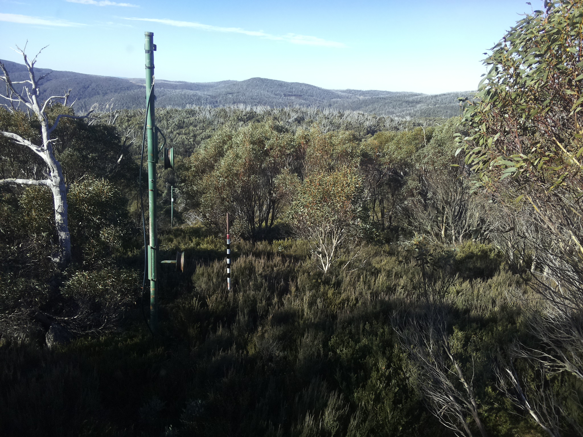 Bogong Web Cam 9:50am Sunday 25th of May 2025