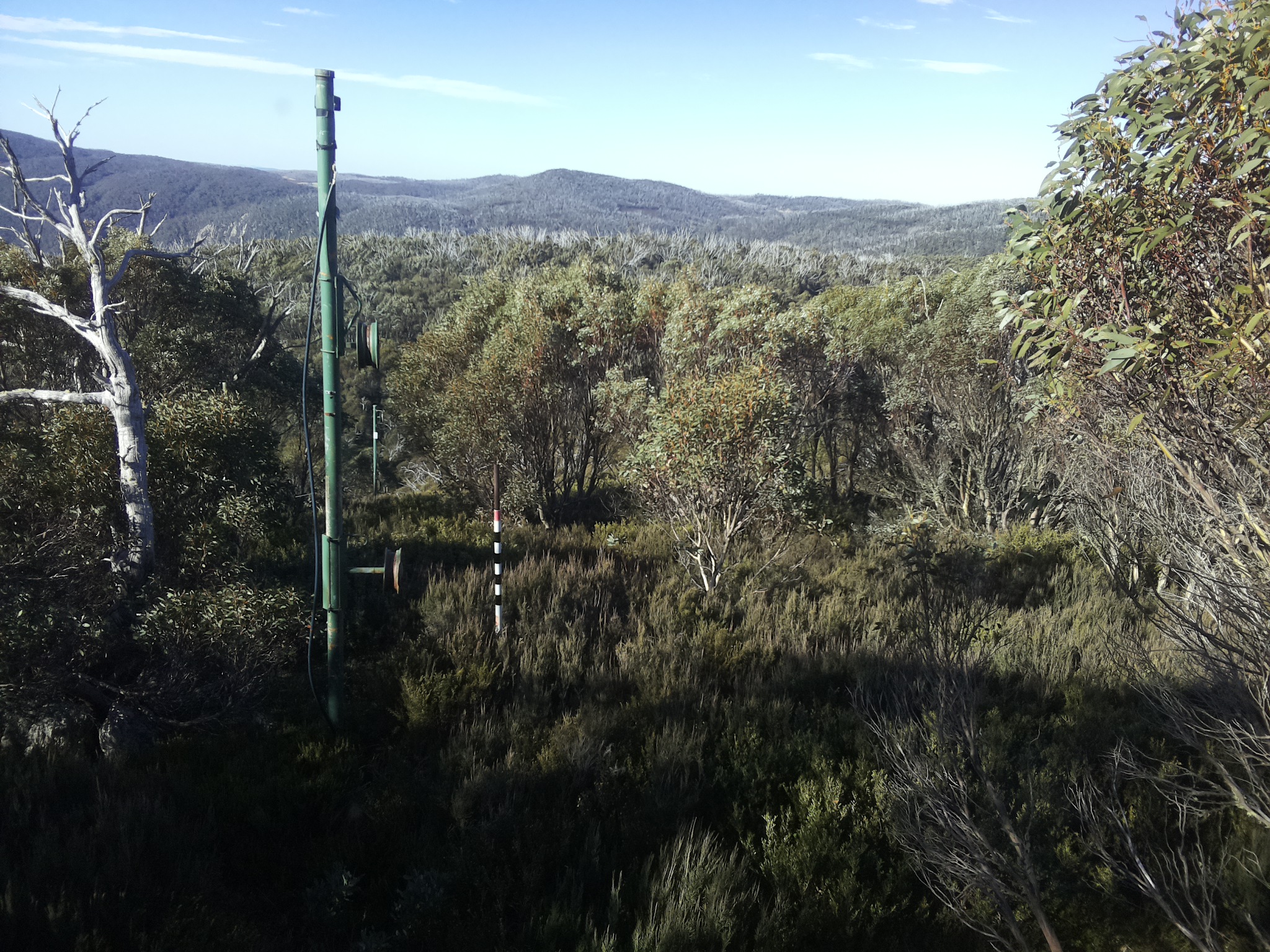 Bogong Web Cam 10:00am Sunday 25th of May 2025