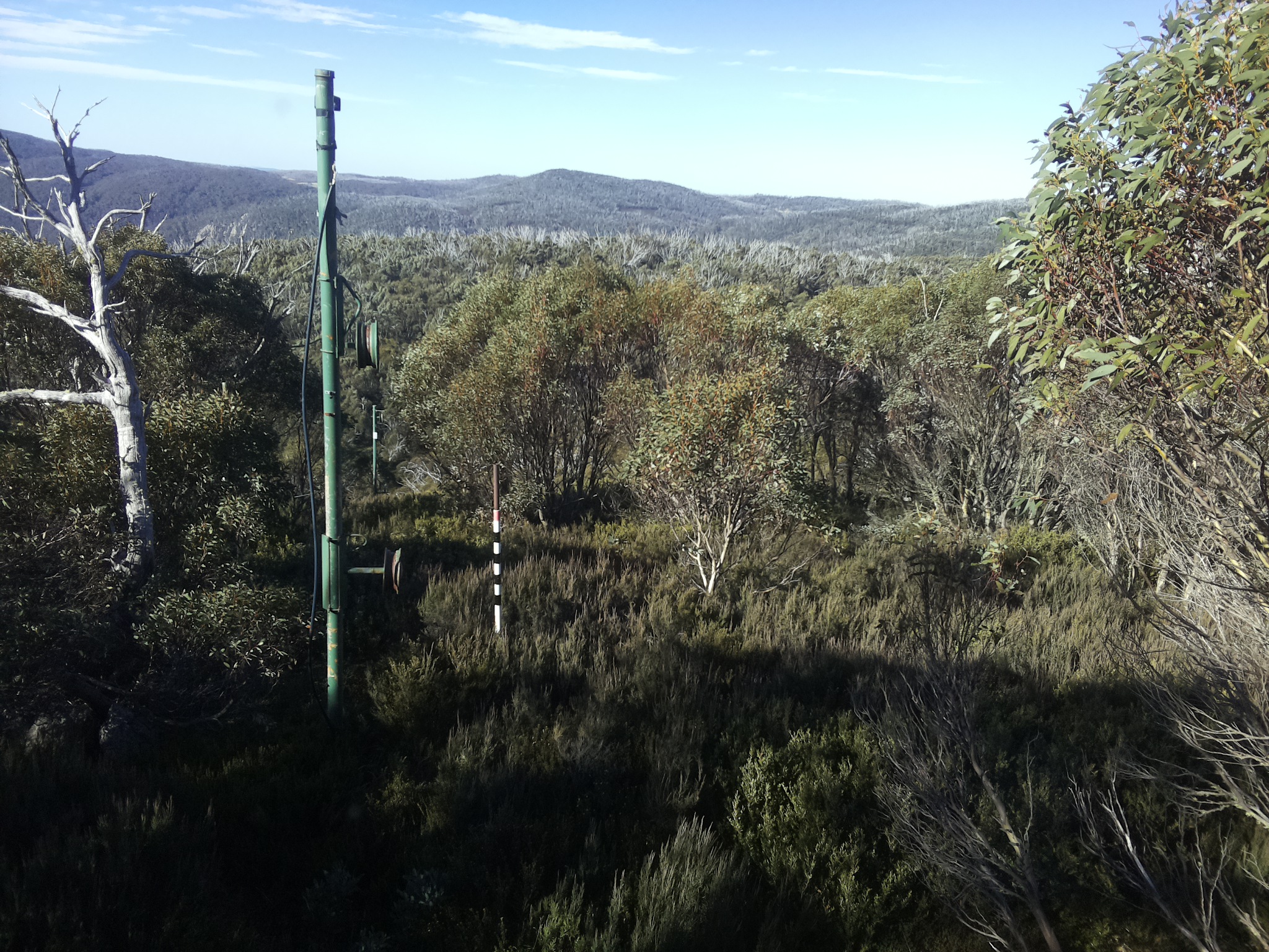 Bogong Web Cam 10:10am Sunday 25th of May 2025