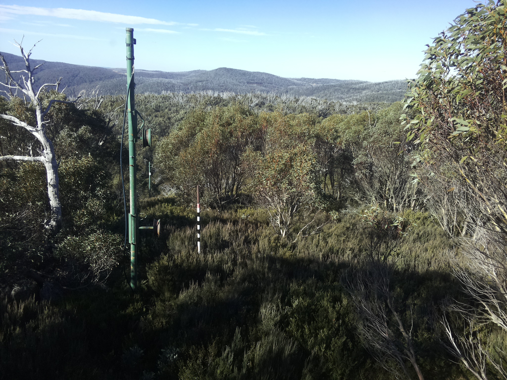 Bogong Web Cam 10:20am Sunday 25th of May 2025