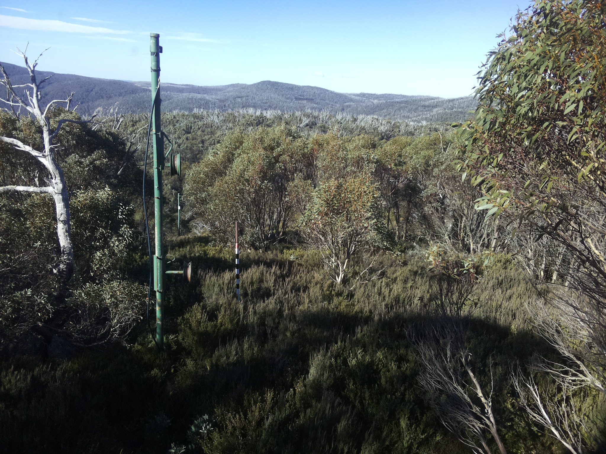 Bogong Web Cam 10:30am Sunday 25th of May 2025